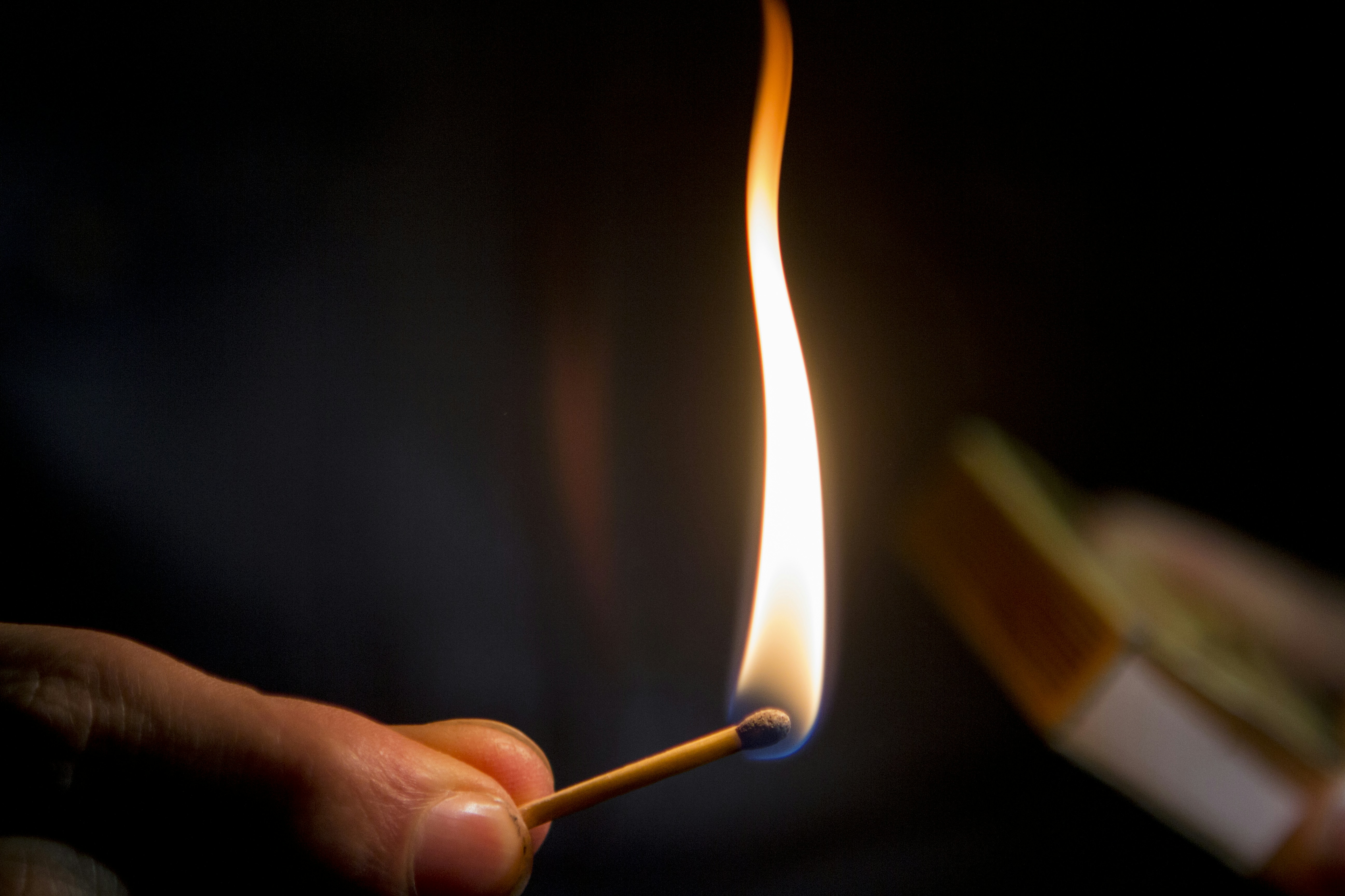 Free Unsplash photo from Melle Lingerak