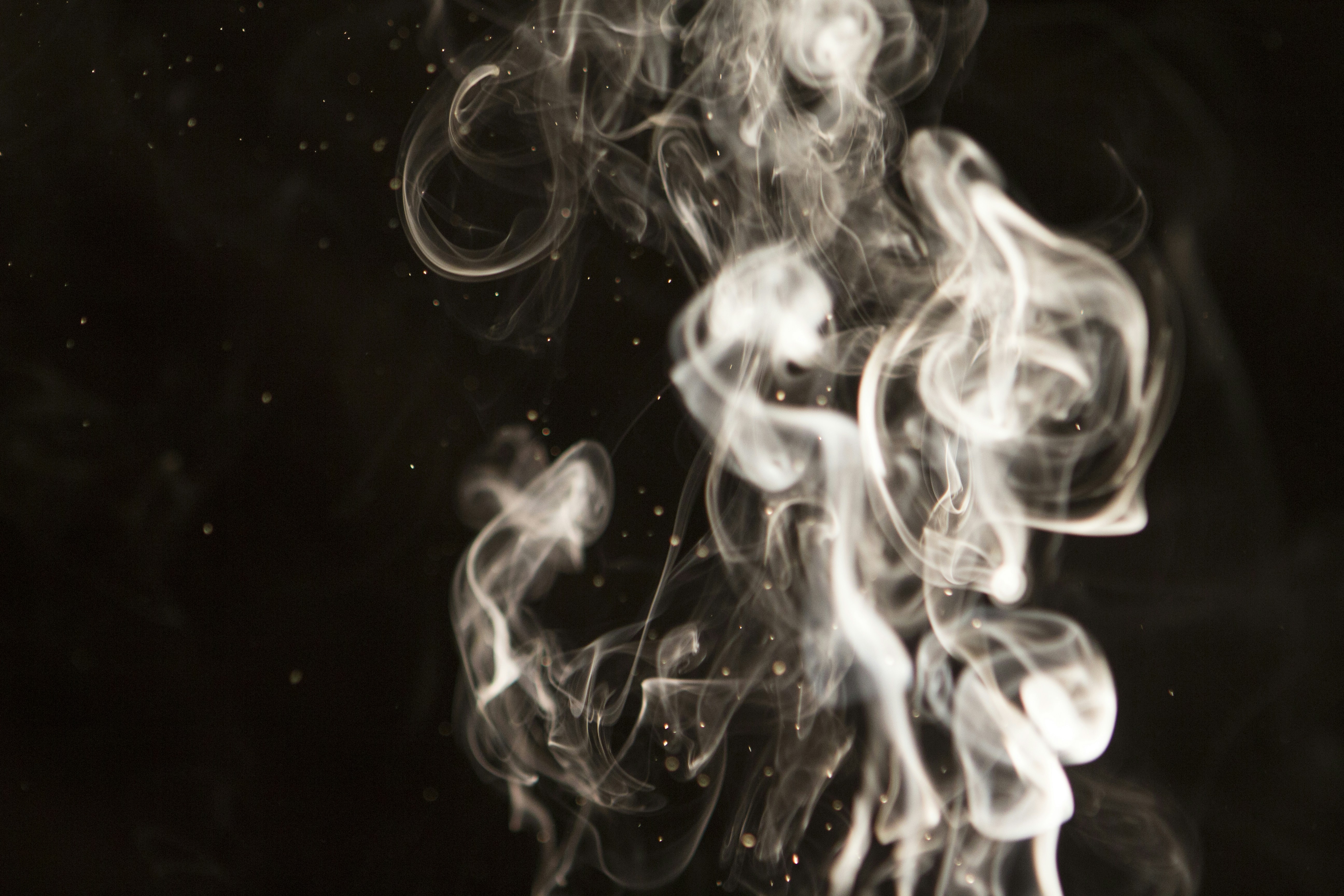 Free Unsplash photo from Melle Lingerak