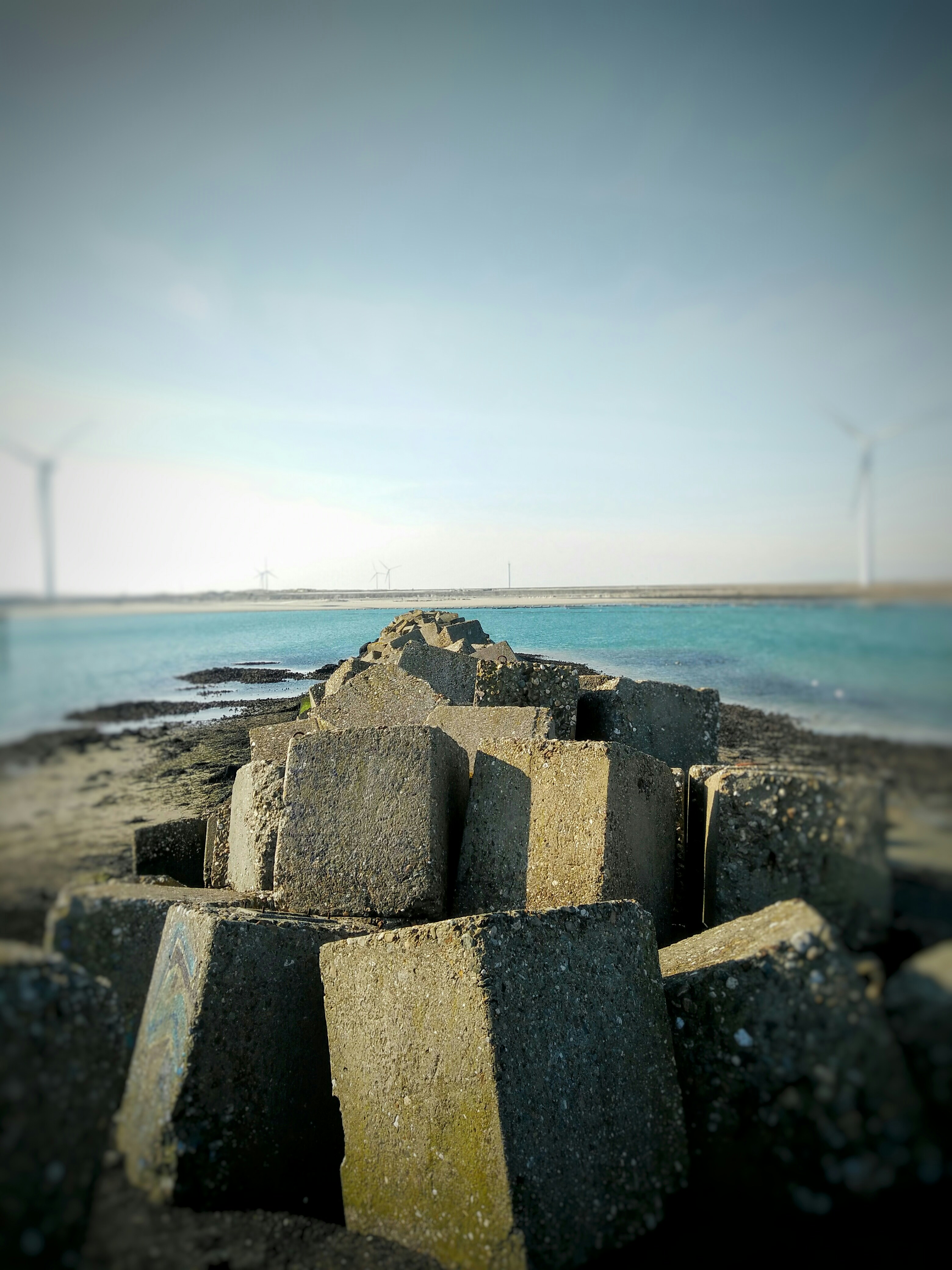 Free Unsplash photo from Jens Oosting