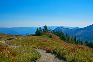 A scenic mountain trail featured in an adventure brand collaboration.