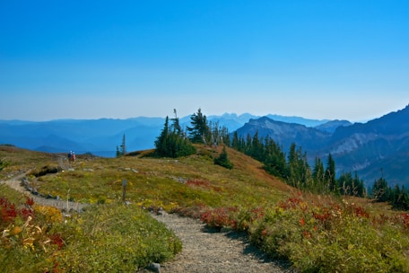 A scenic view of a mountain landscape with a winding trail leading into the distance.