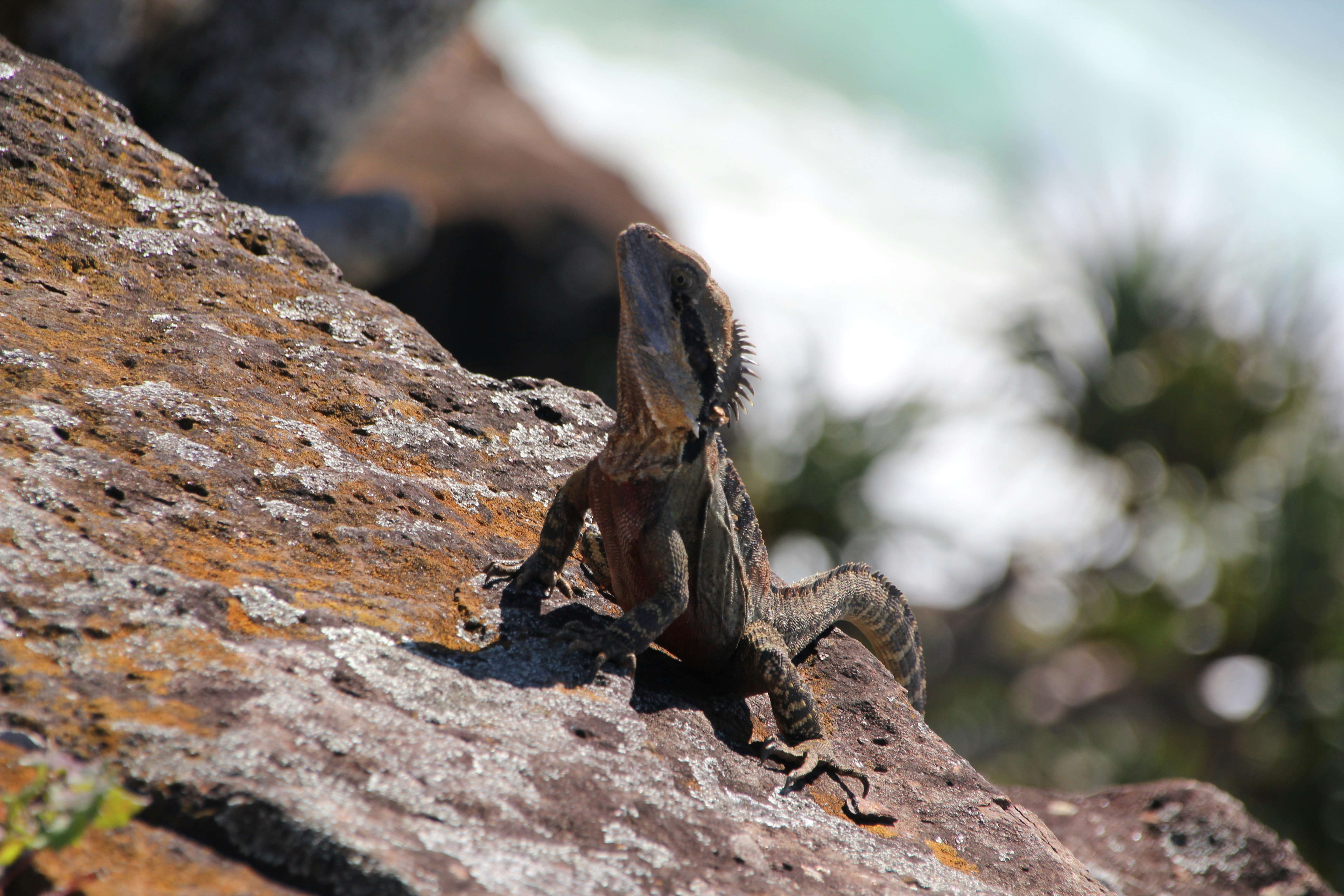 Free Unsplash photo from kevin Xue