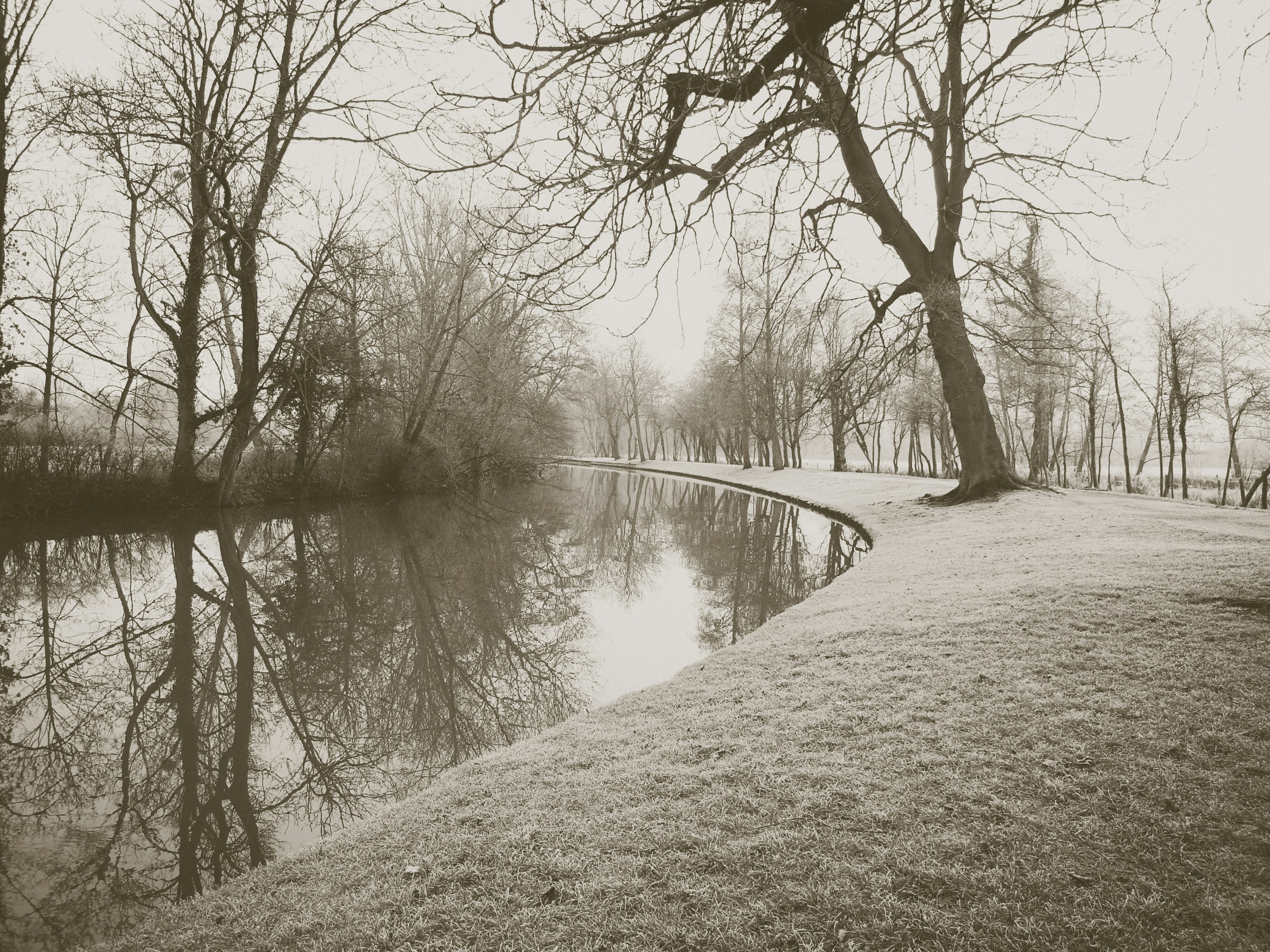 Free Unsplash photo from Anna Grau