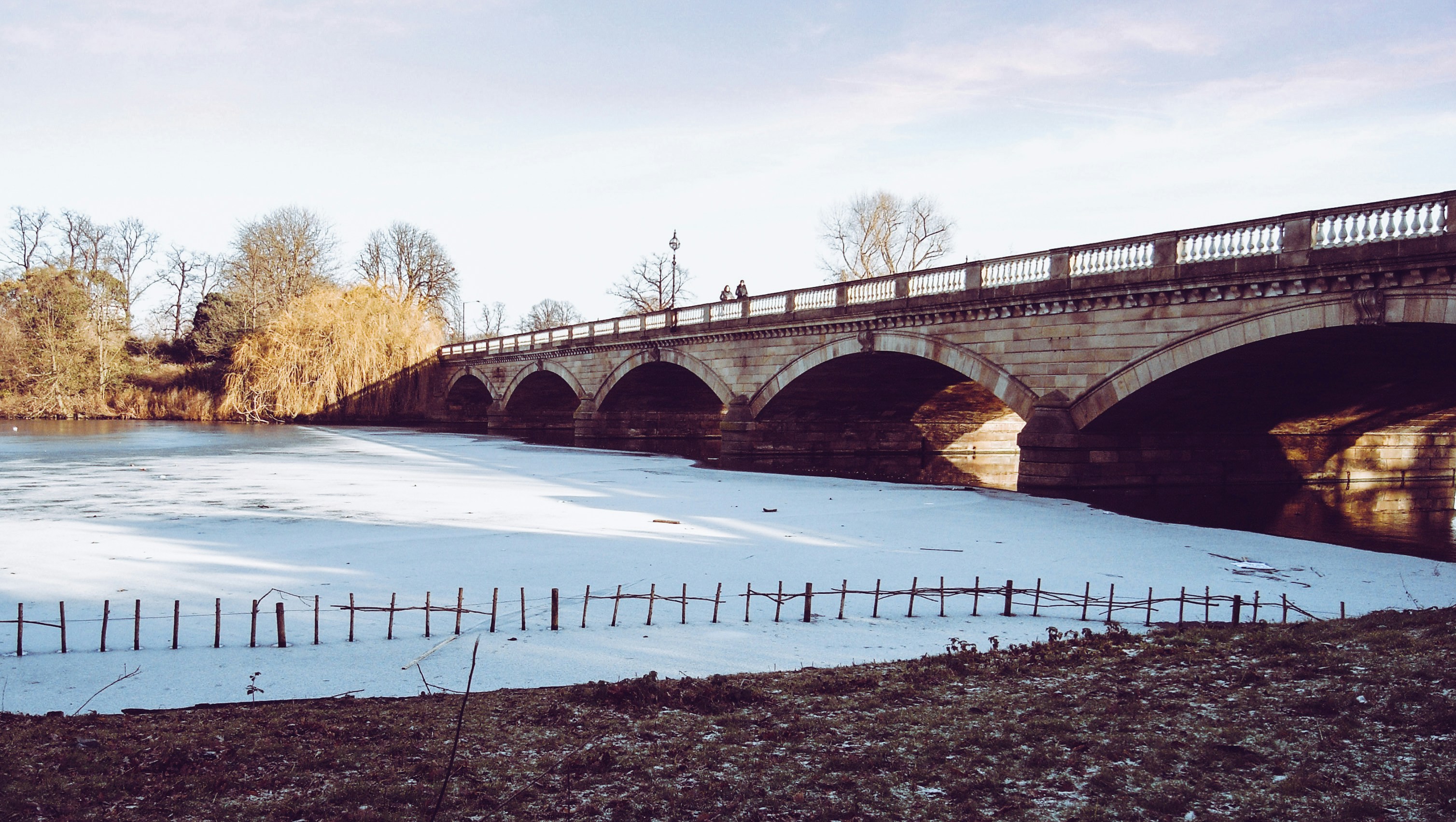 Free Unsplash photo from Anna Grau