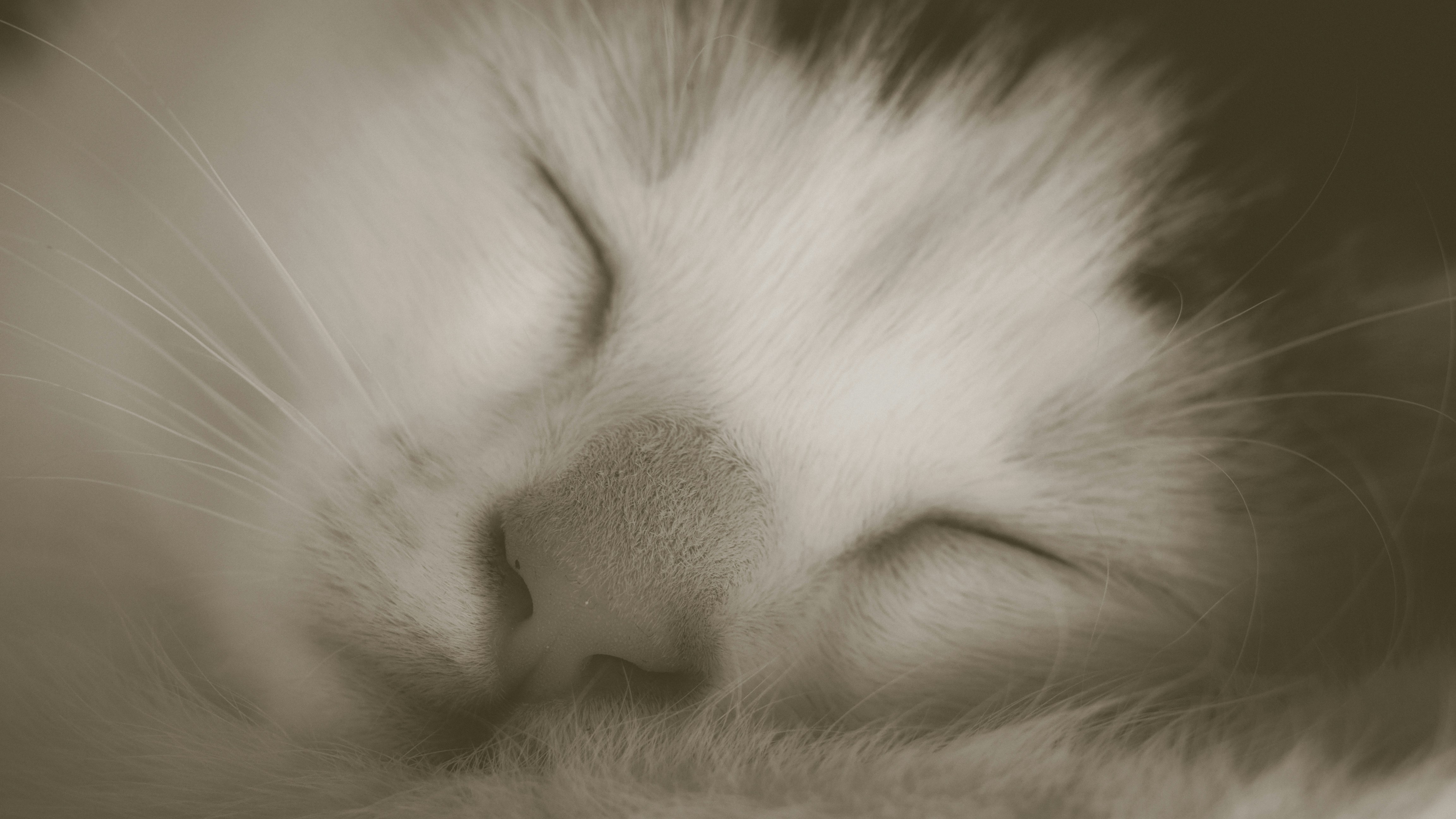 Free Unsplash photo from Anna Grau