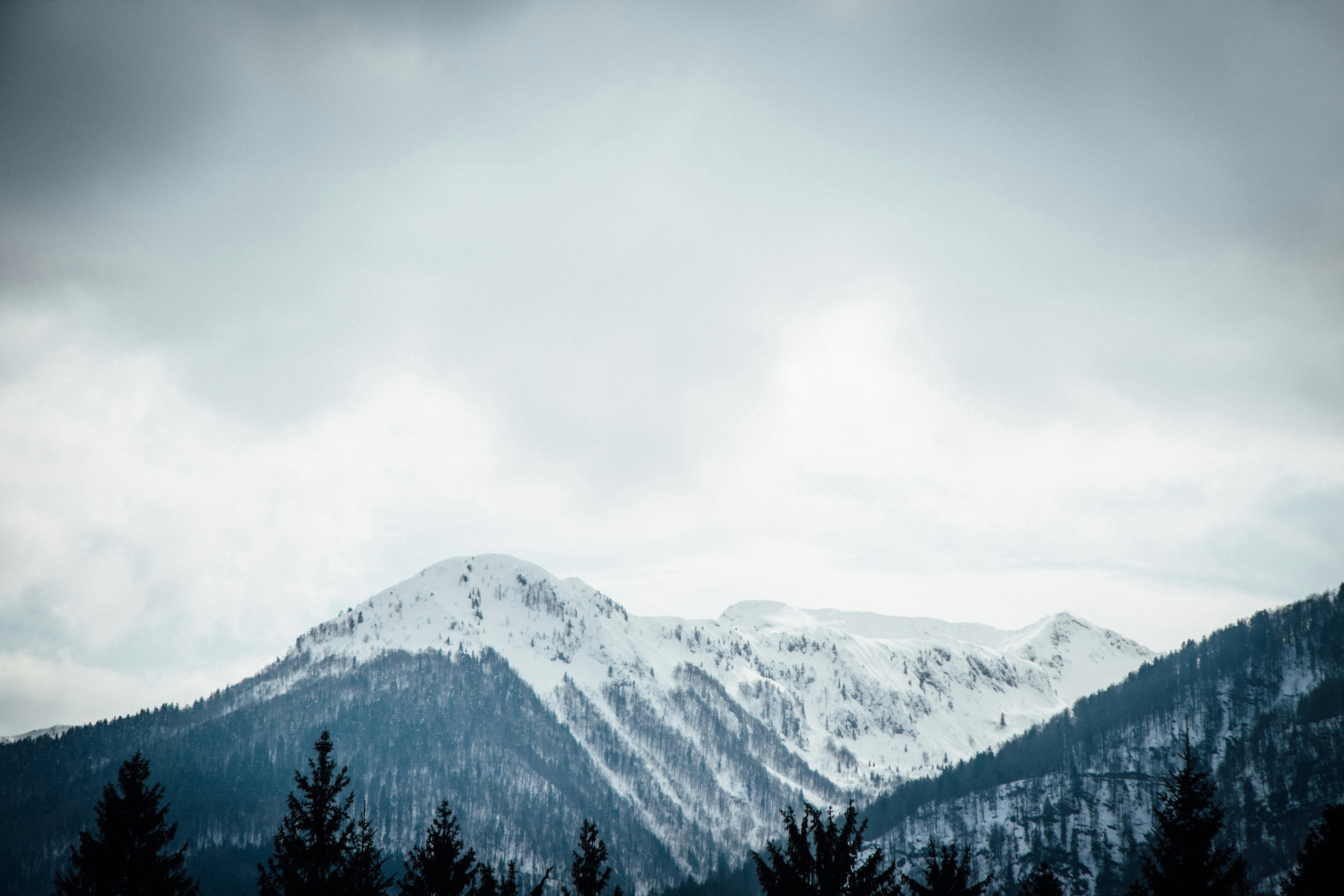 Free Unsplash photo from Urh Kolar