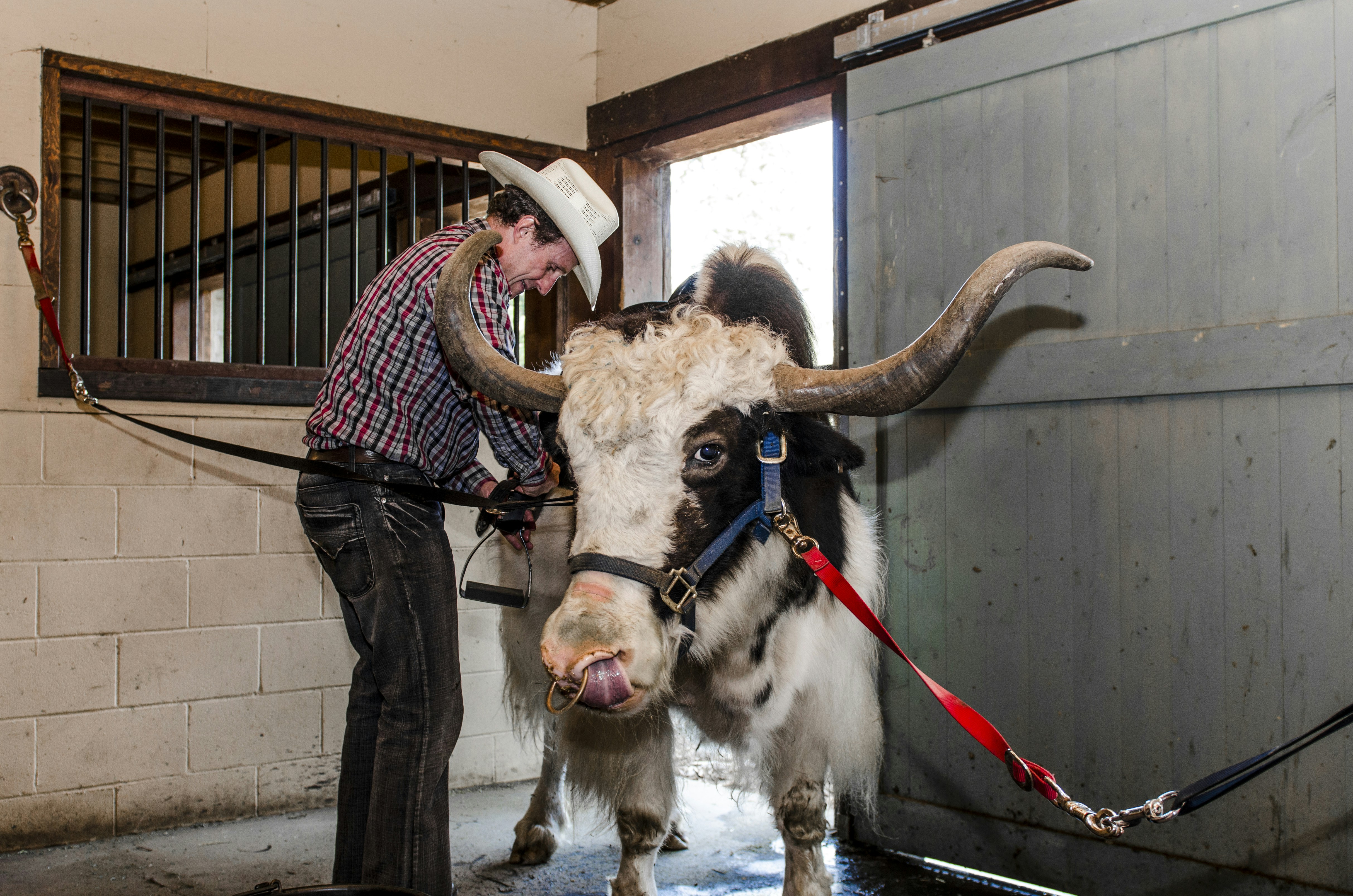 Photo By jesse orrico