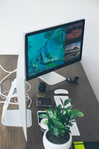 A sleek computer monitor displays vibrant imagery, including a close-up of a fish in blue water, a landscape with a tree, and mountain terrain. The wooden desk holds a pot with green leaves, a camera lens, a mouse, a keyboard, and an assortment of tech gadgets.