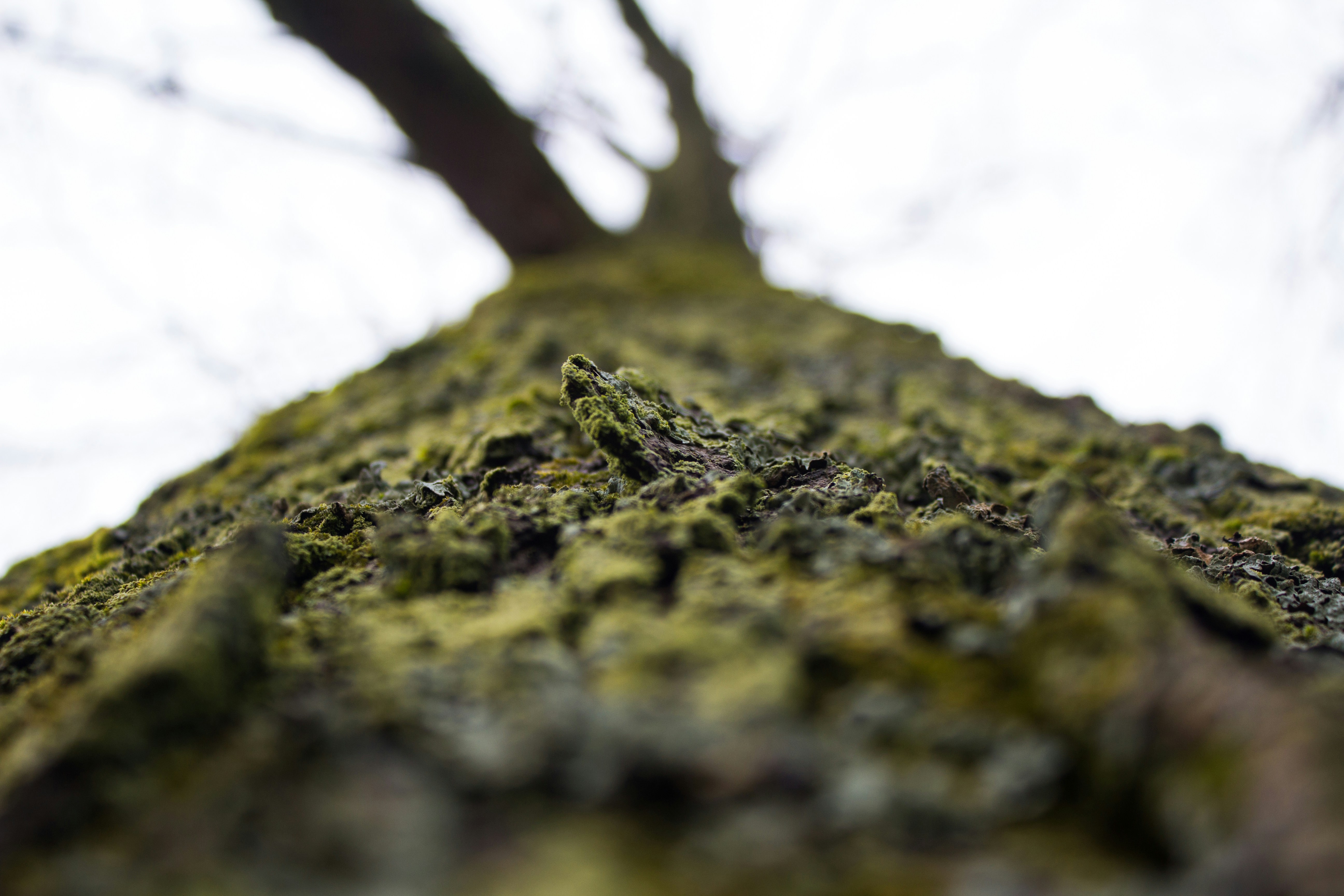 Free Unsplash photo from Jacob Connell