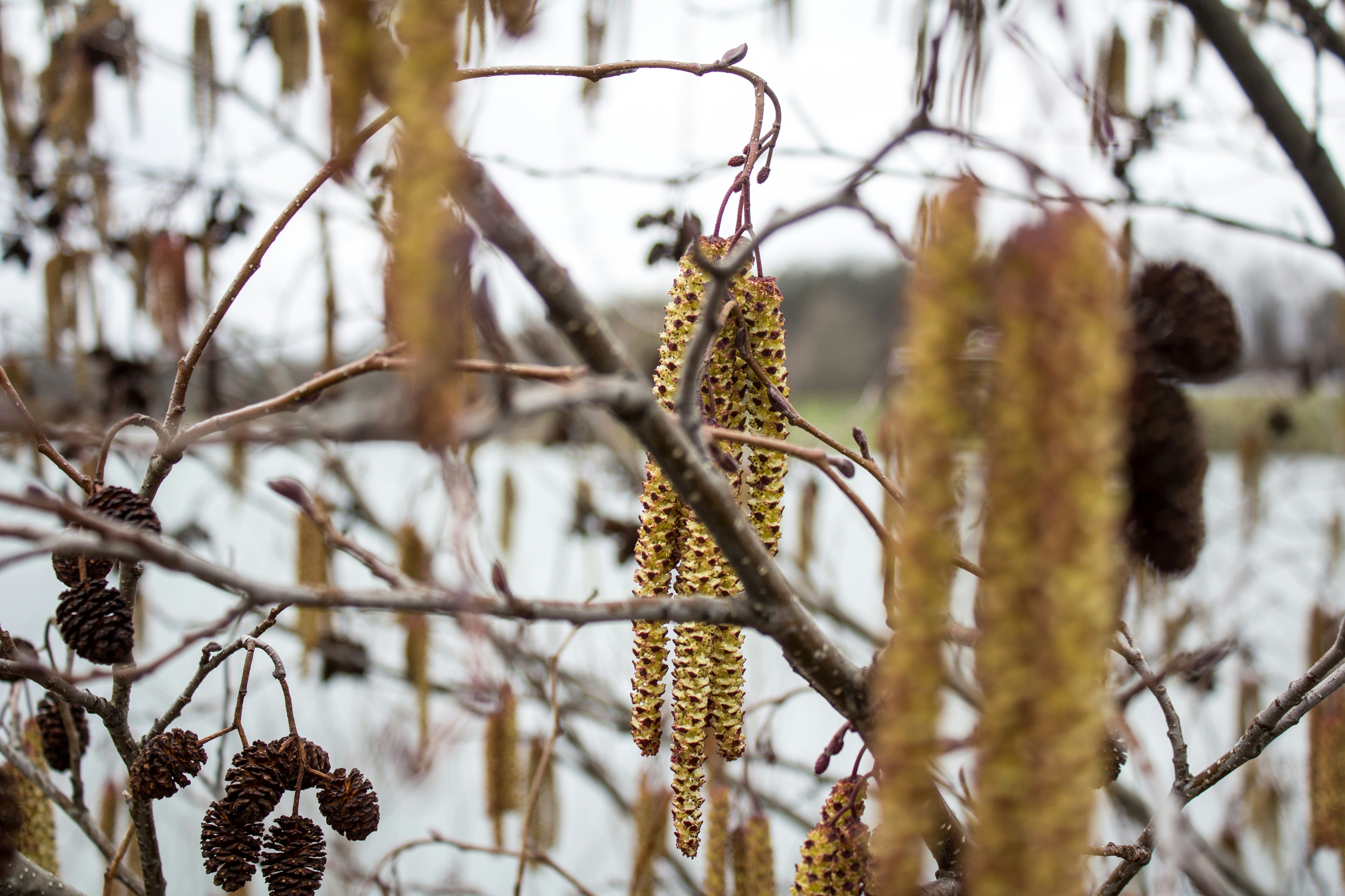 Free Unsplash photo from Jacob Connell