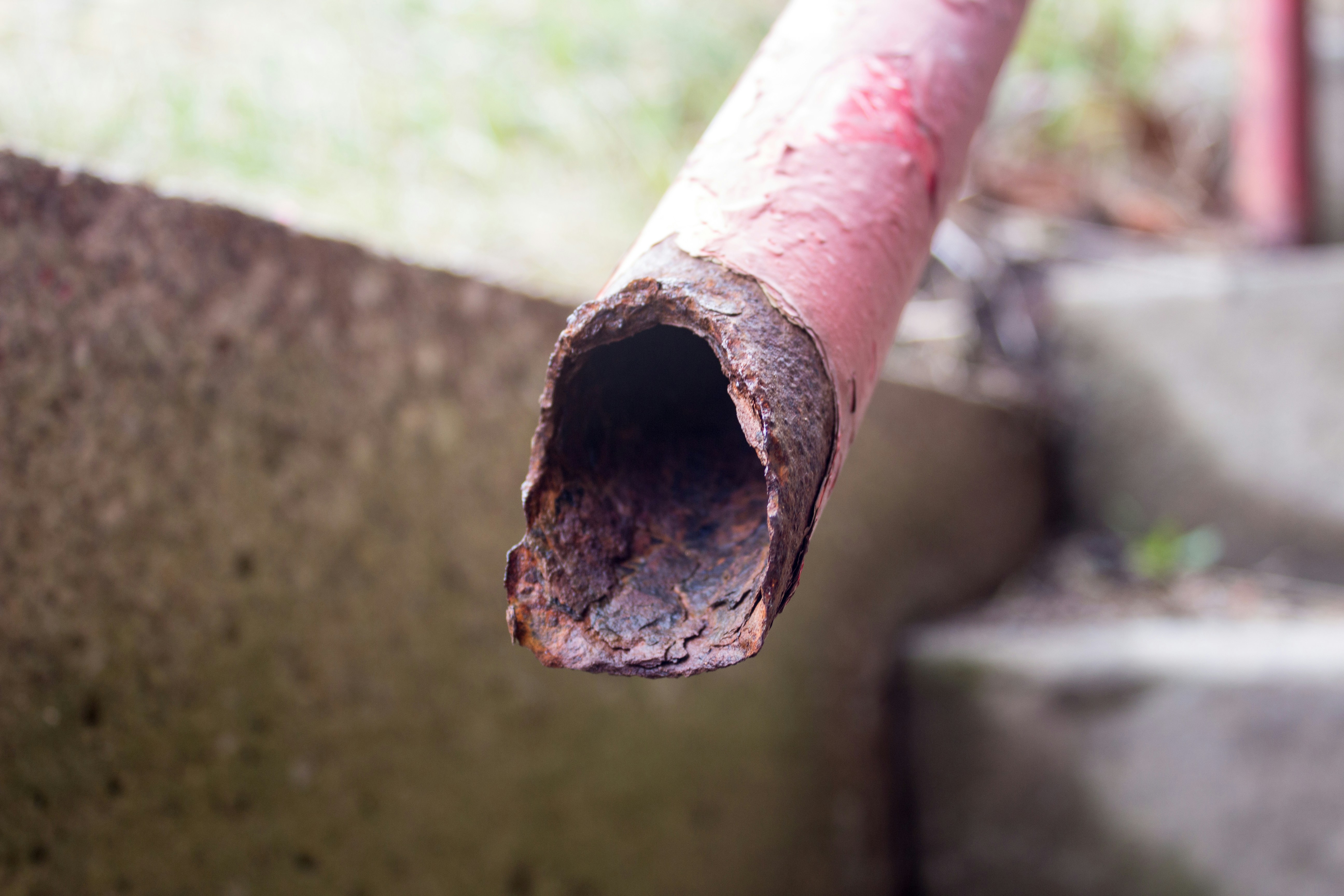 Free Unsplash photo from Jacob Connell