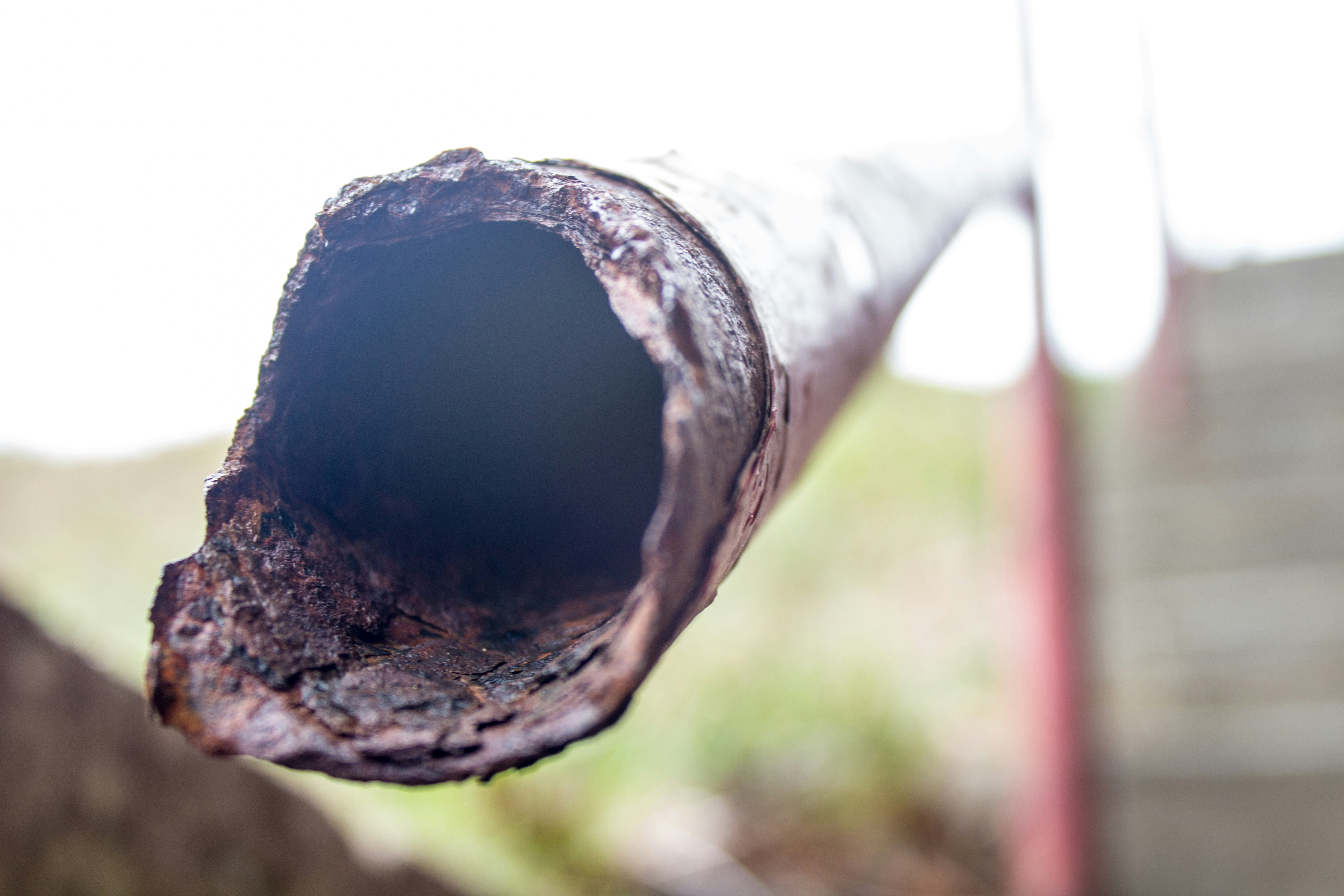 Free Unsplash photo from Jacob Connell