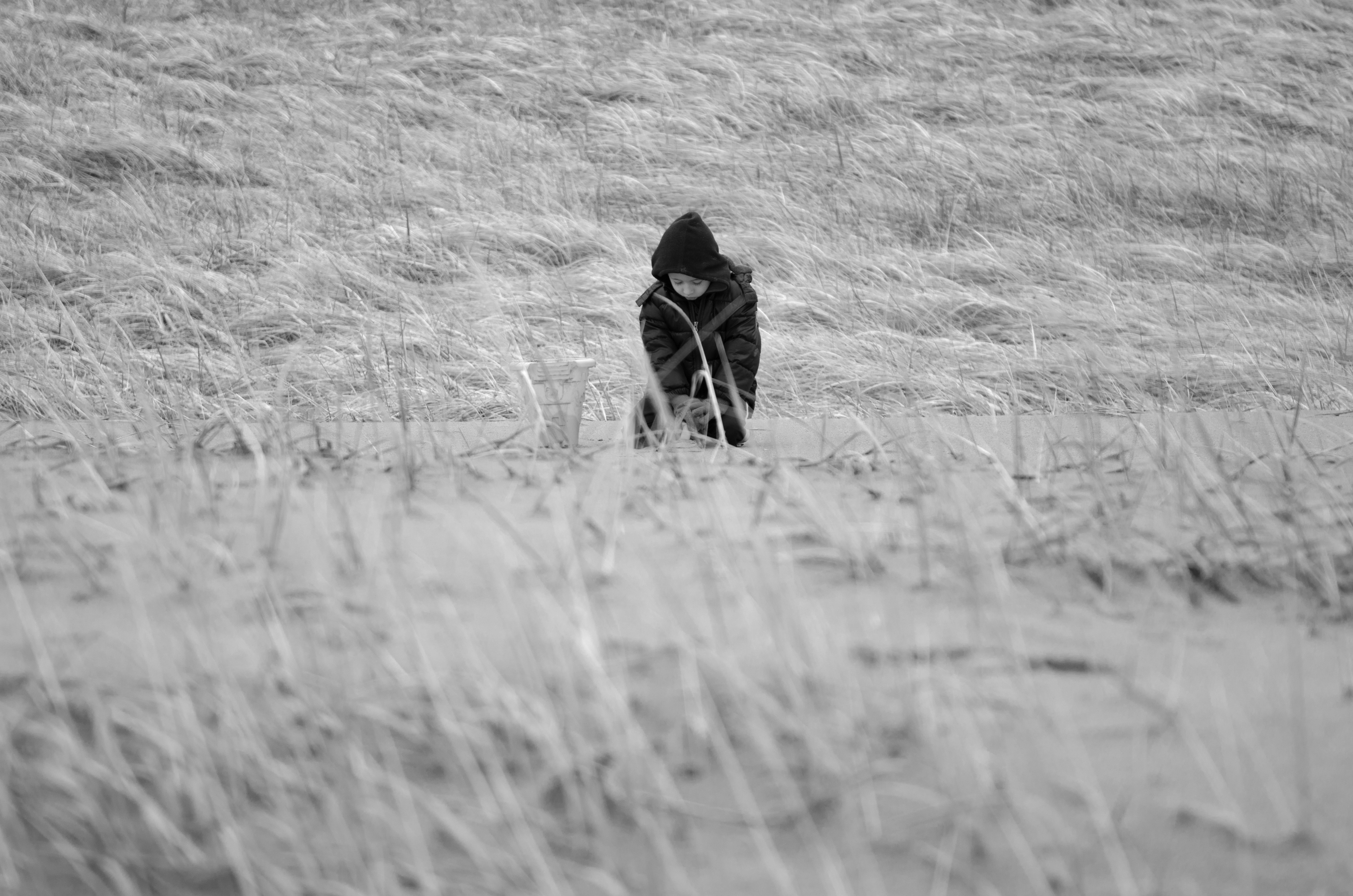 Photo By jesse orrico