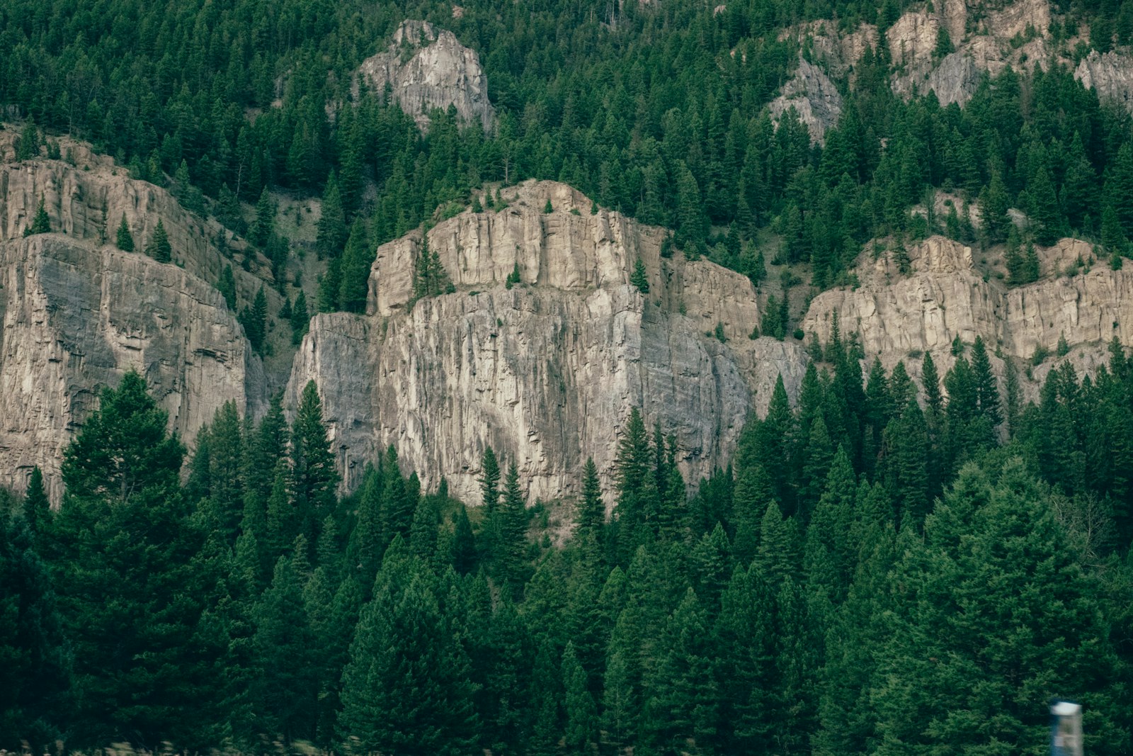 Fujifilm X-T1 + Fujifilm XF 16-55mm F2.8 R LM WR sample photo. Forest with grey rock photography