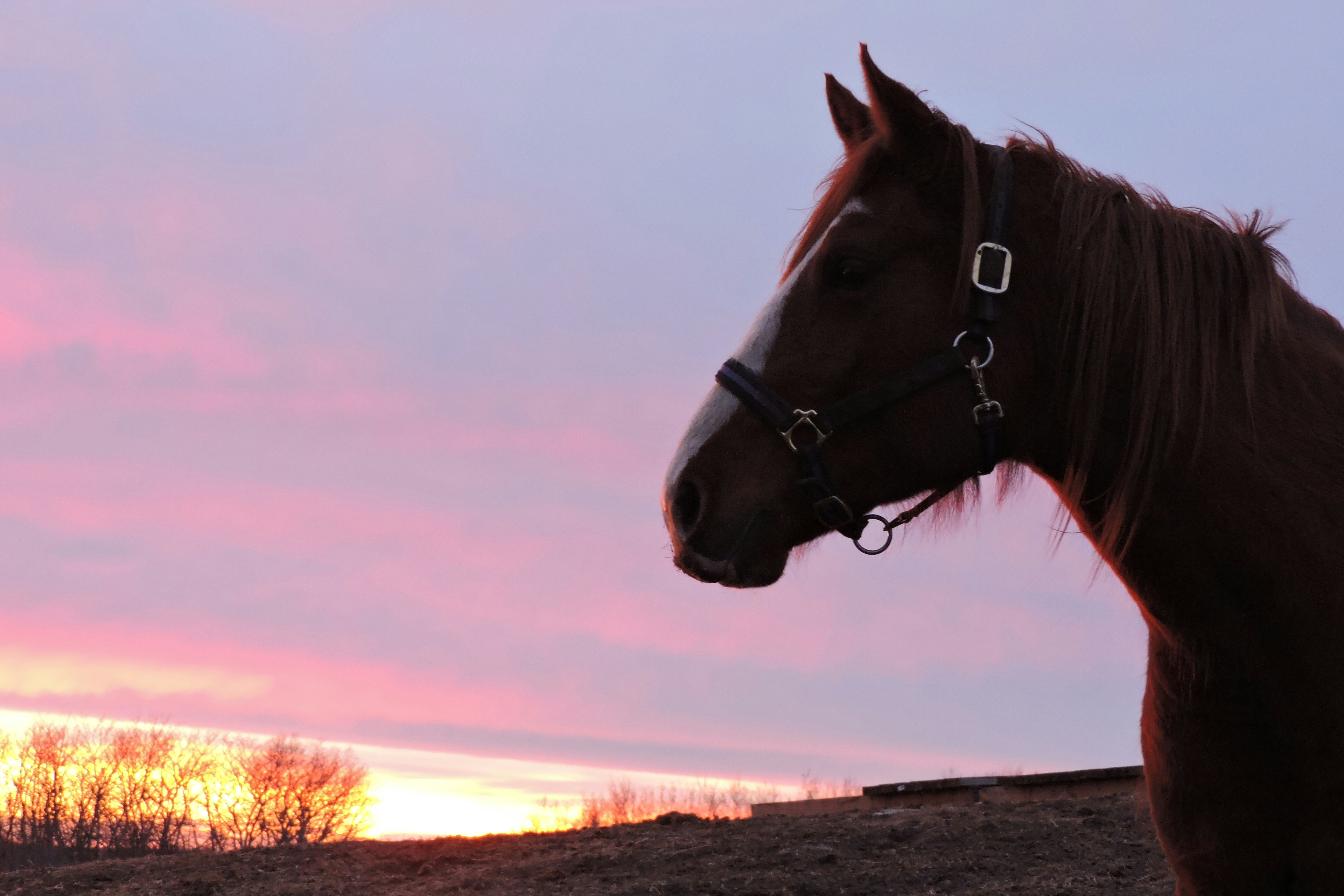 Free Unsplash photo from Lois Maeland