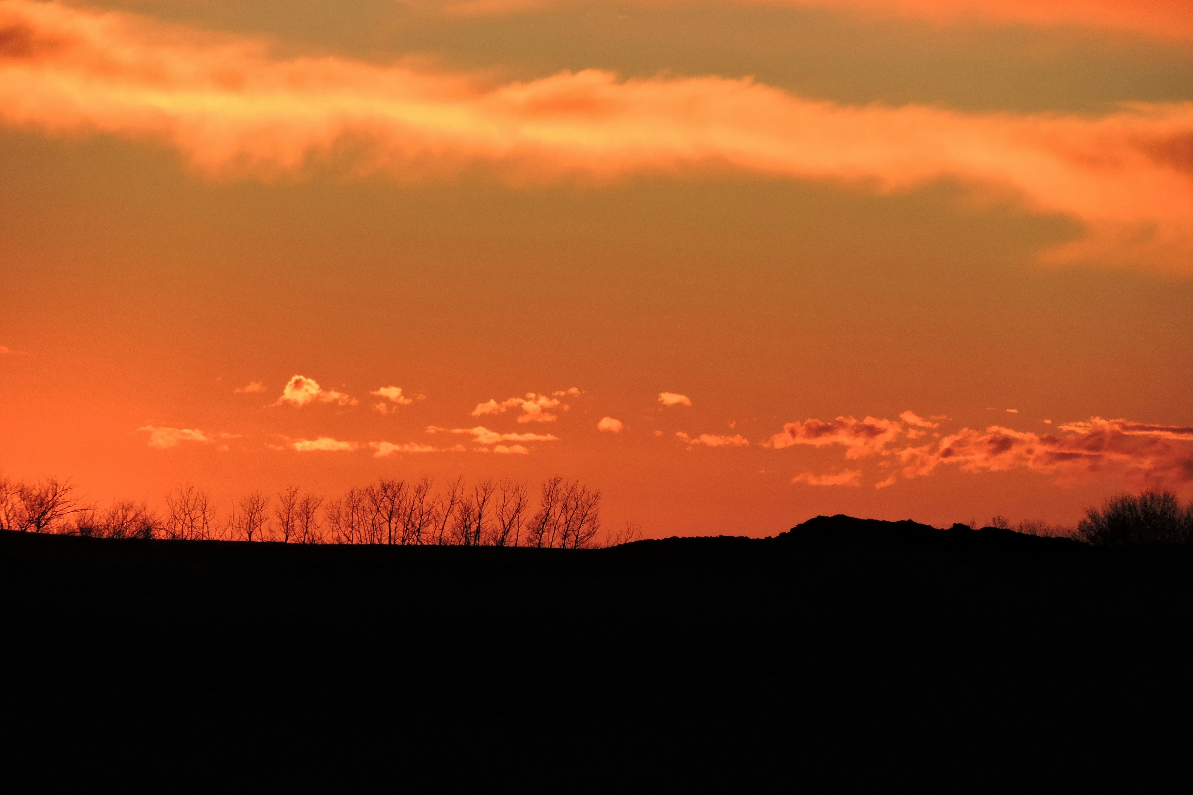 Free Unsplash photo from Lois Maeland