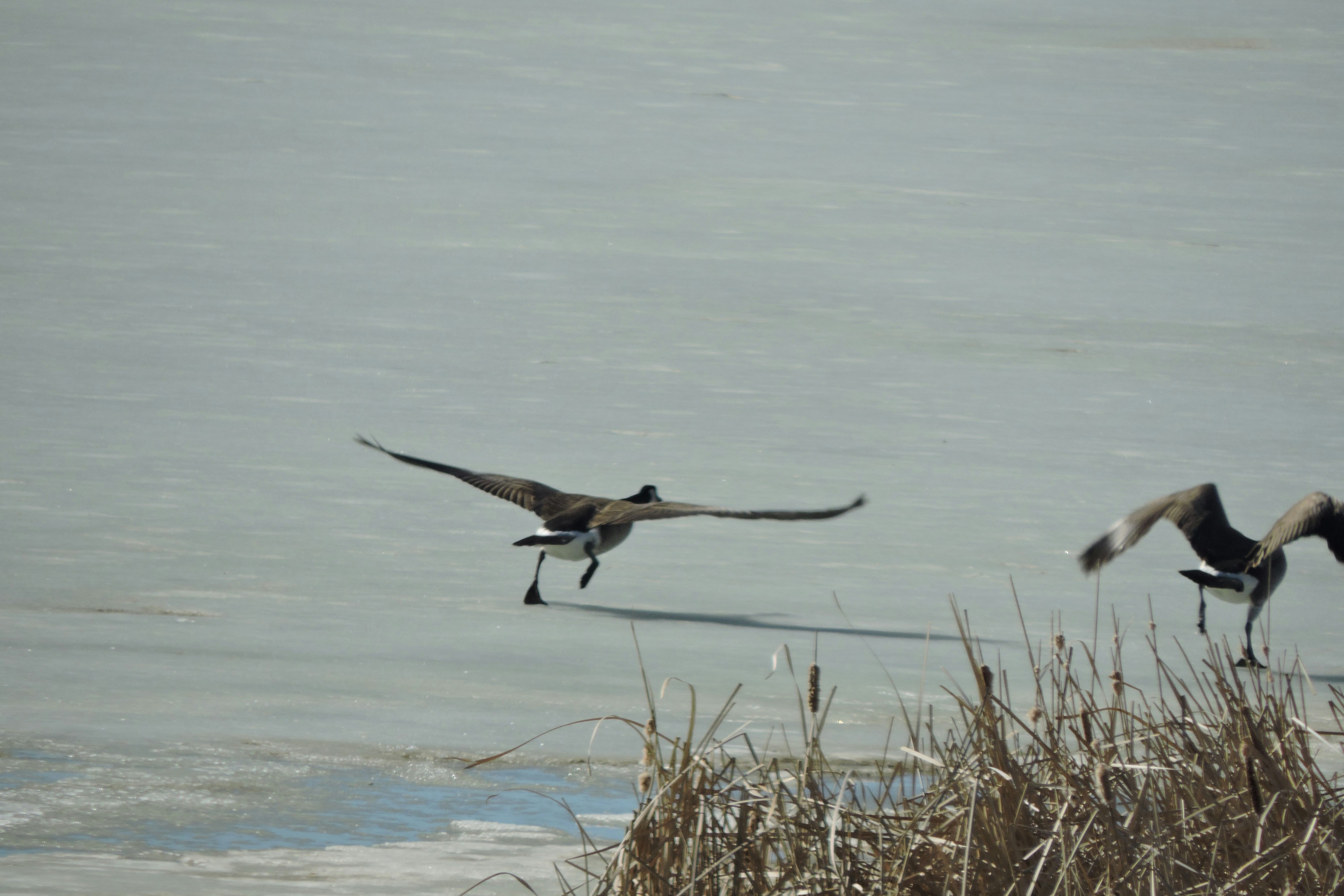 Free Unsplash photo from Lois Maeland