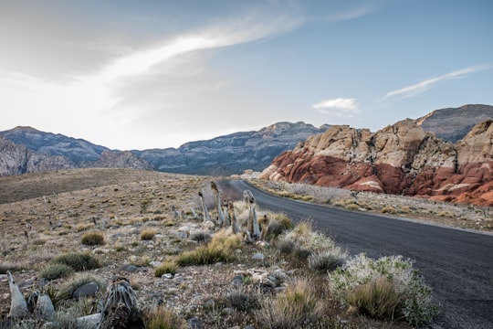 black concrete road surrounded by rocks during daytime in Red Rock Canyon National Conservation Area United States