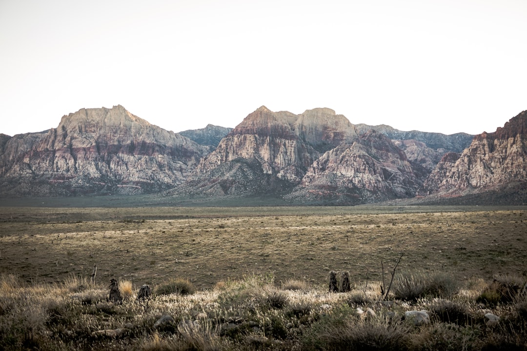 Travel Tips and Stories of Red Rock Canyon National Conservation Area in United States