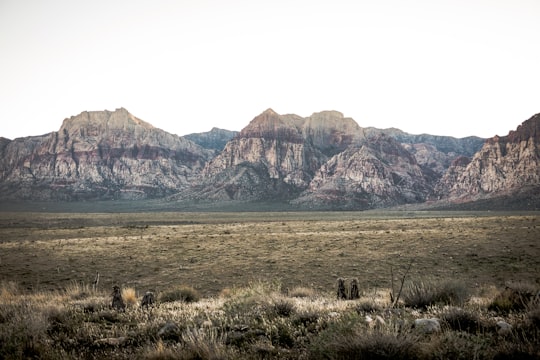 mountain front of field in Red Rock Canyon National Conservation Area United States