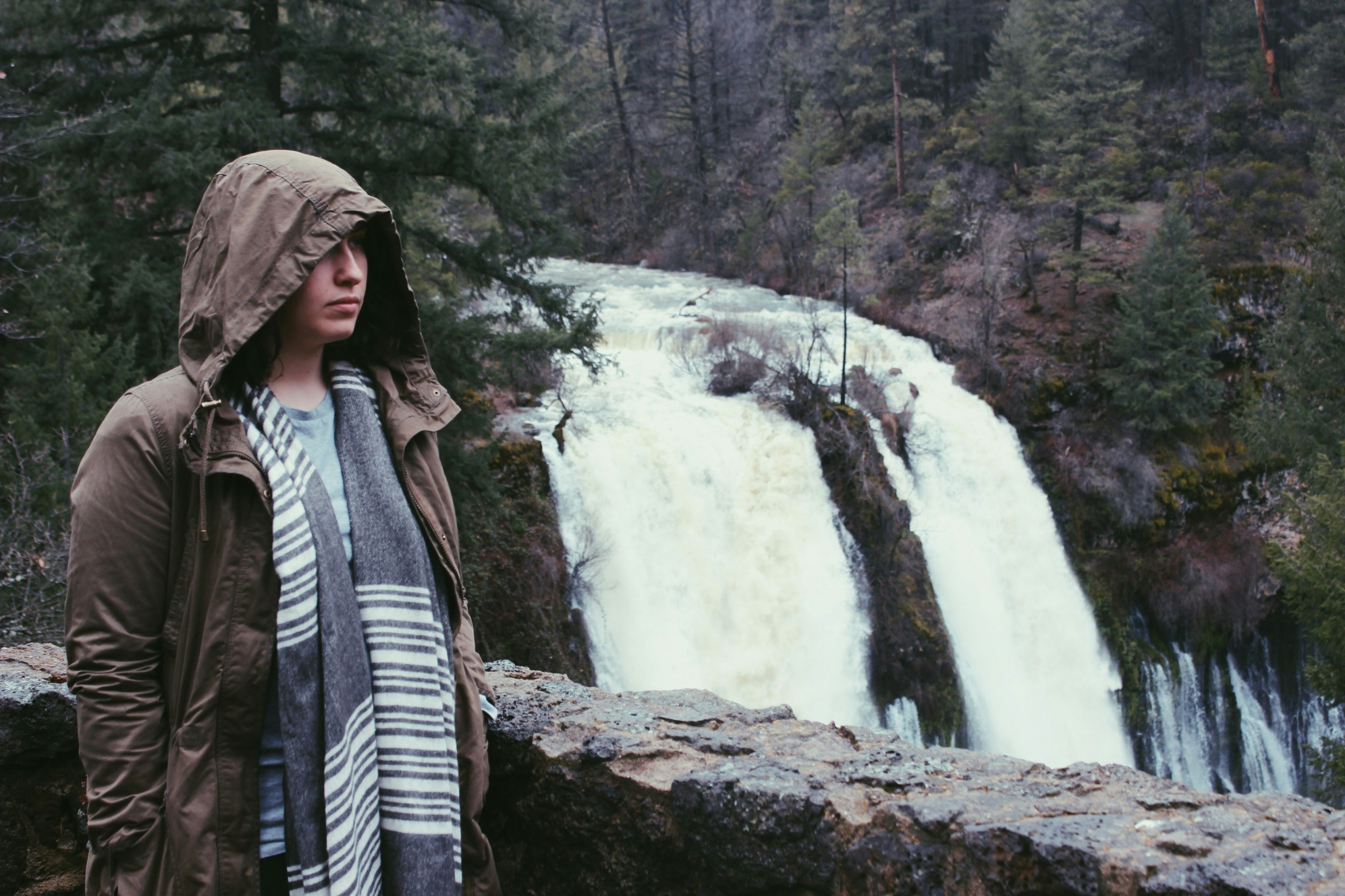 Free Unsplash photo from Ryan Lindsay