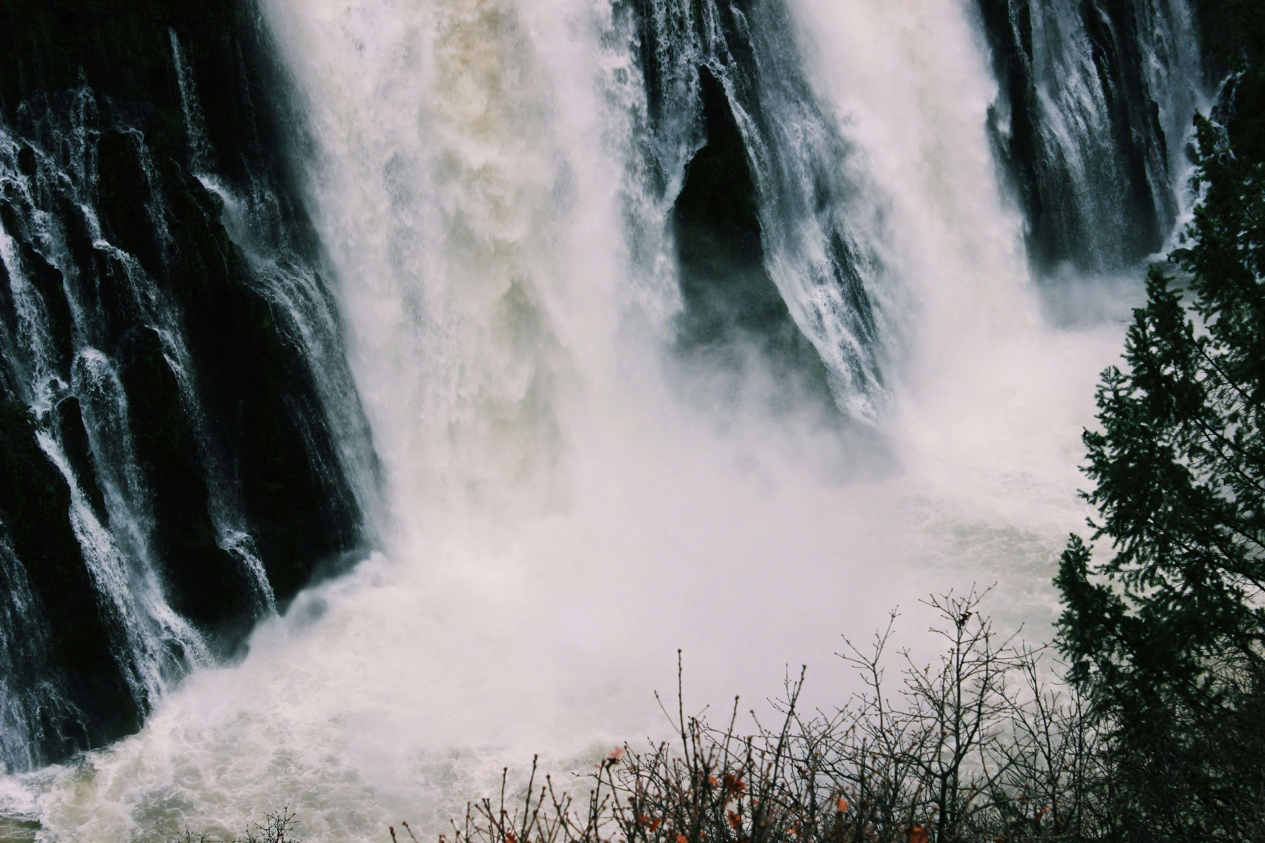 Free Unsplash photo from Ryan Lindsay