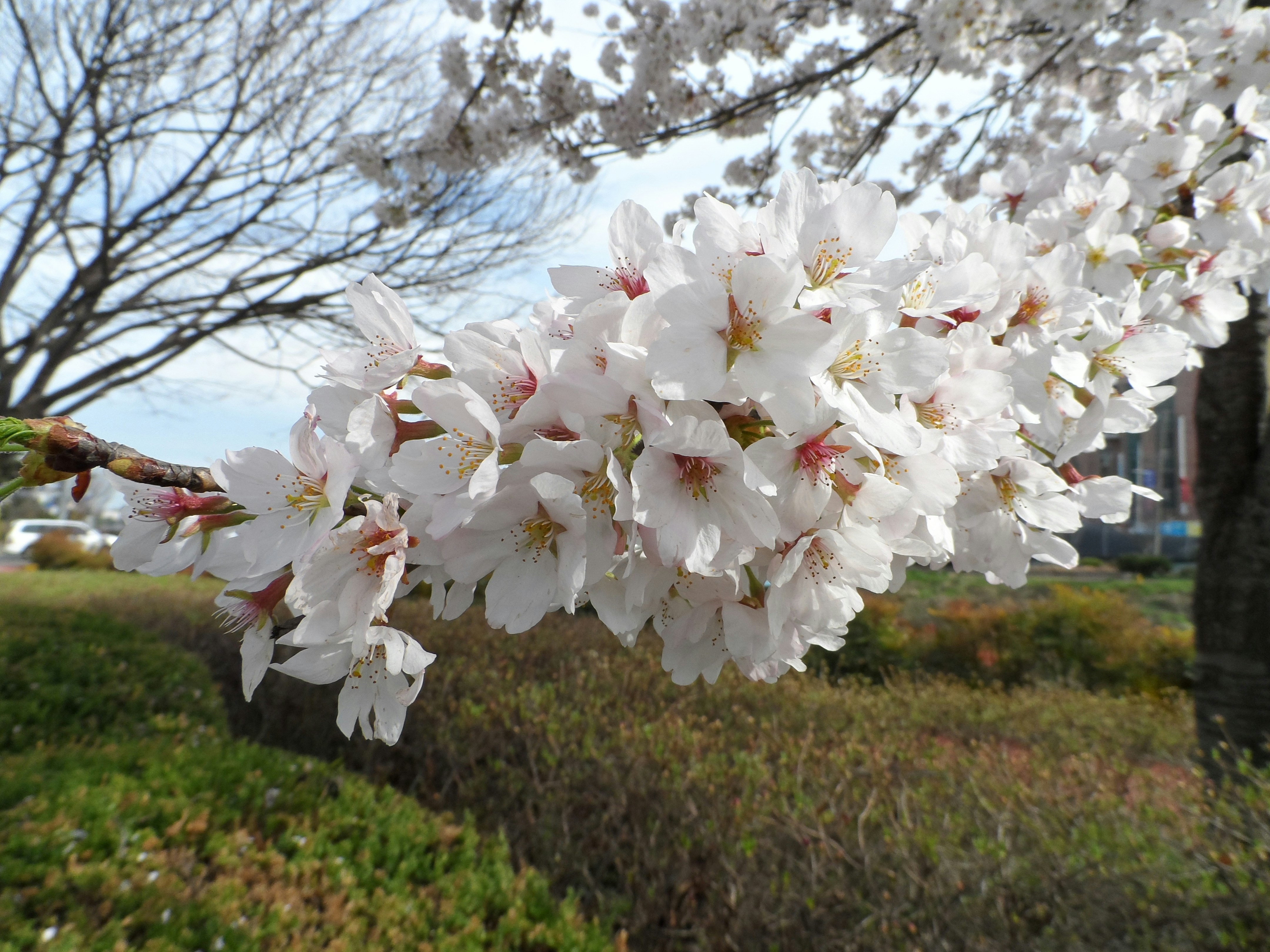 Free Unsplash photo from Jinho Lee