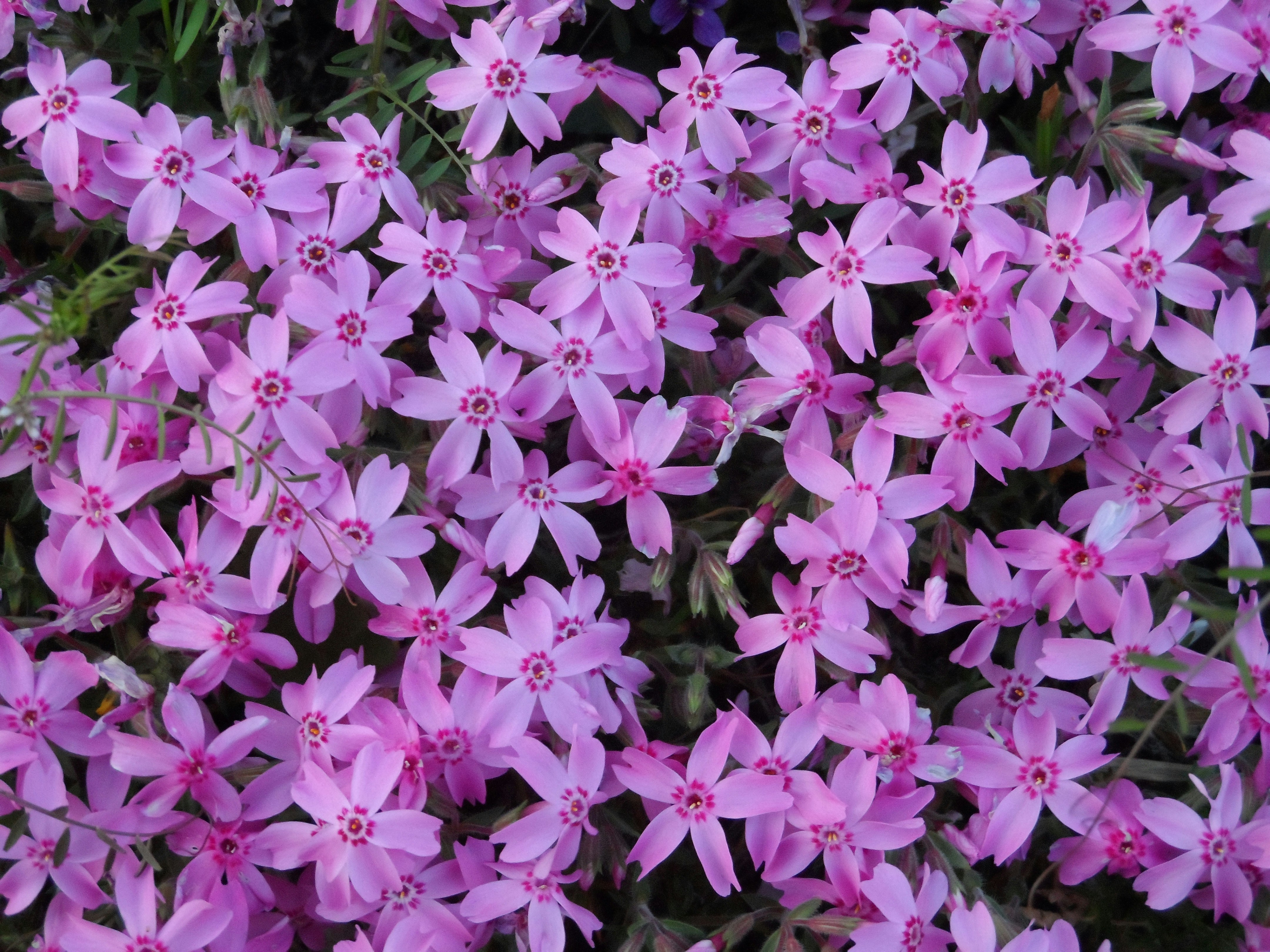 Free Unsplash photo from Jinho Lee