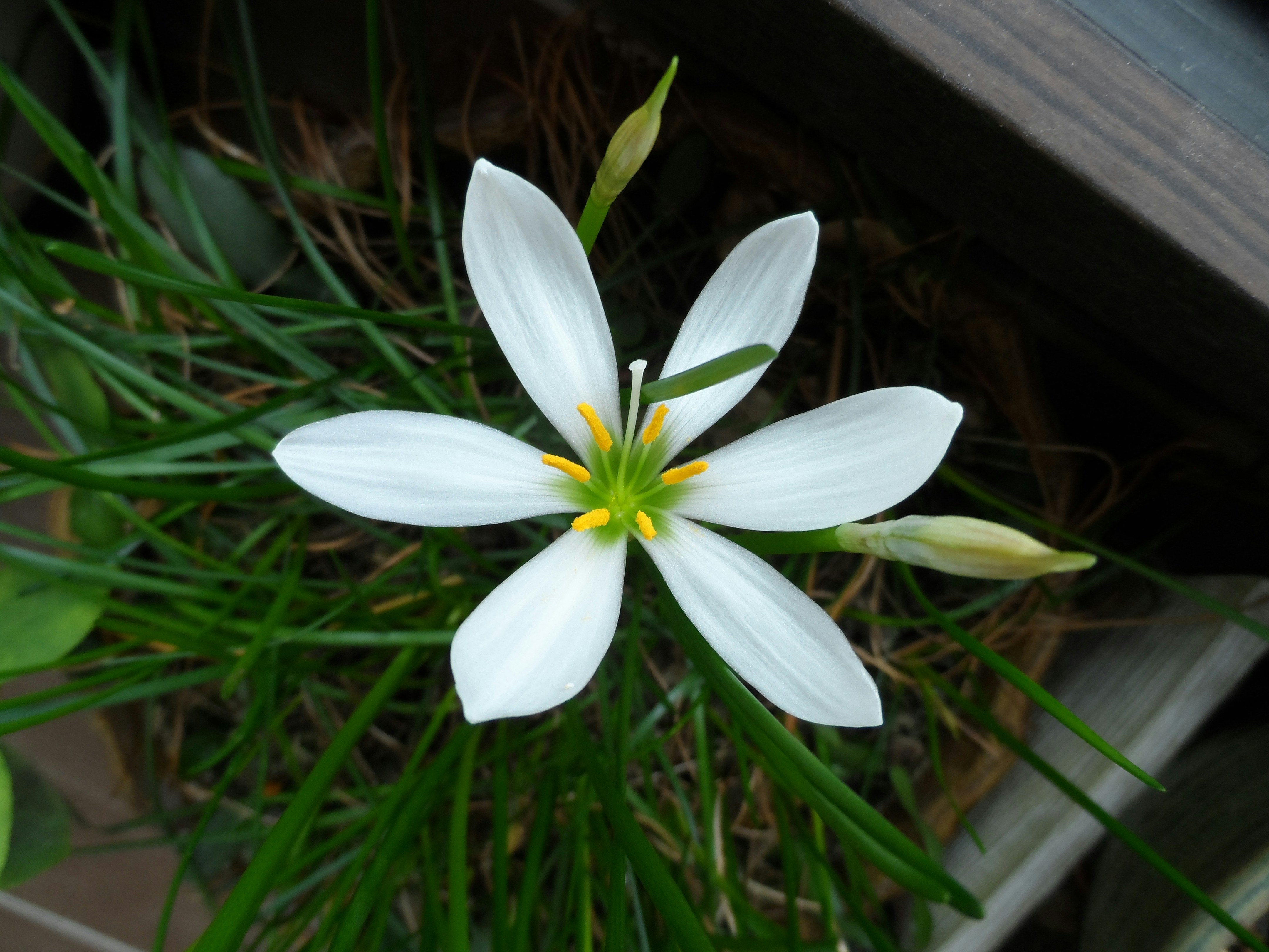 Free Unsplash photo from Jinho Lee