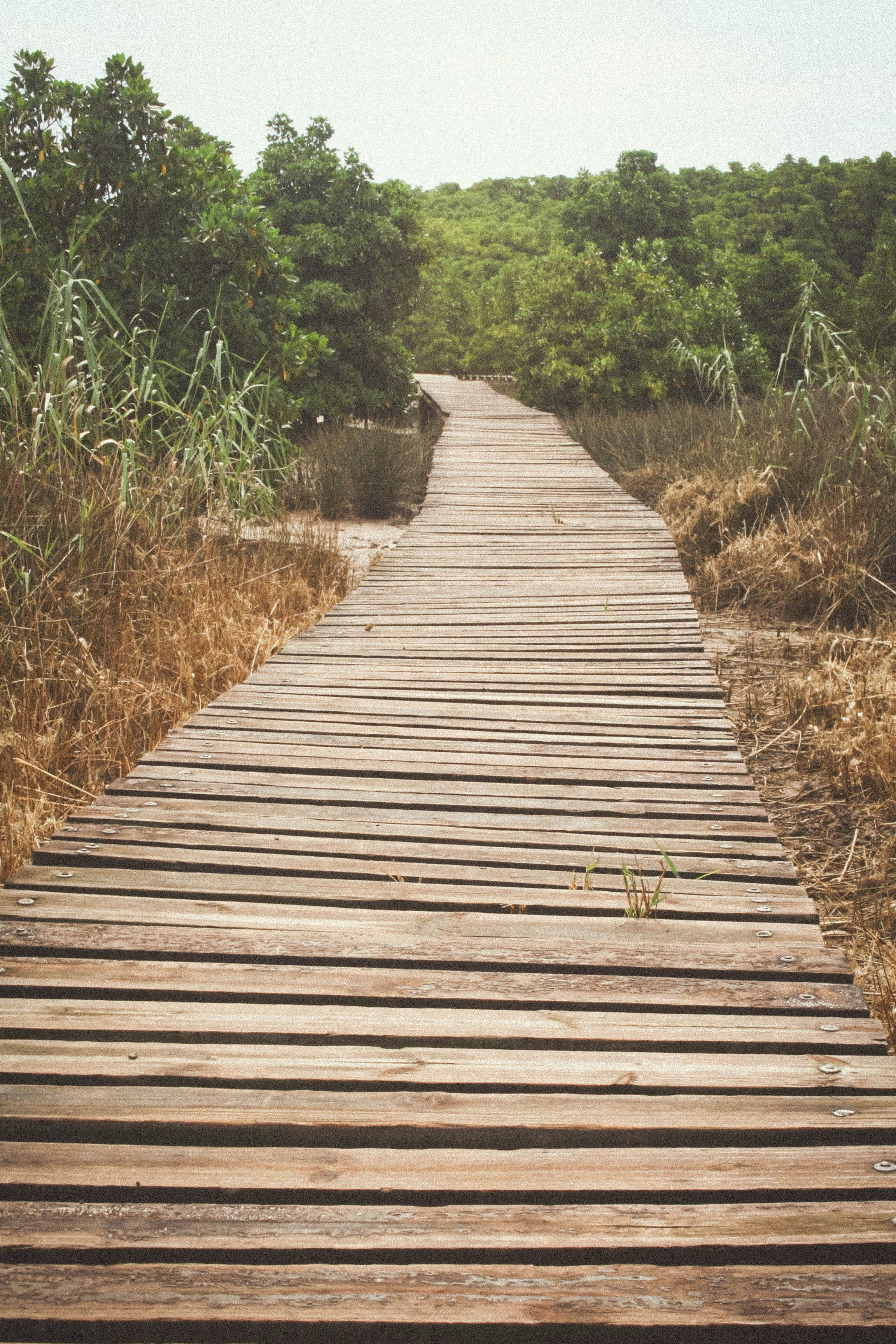 Free Unsplash photo from Jenna Deeley-Smith