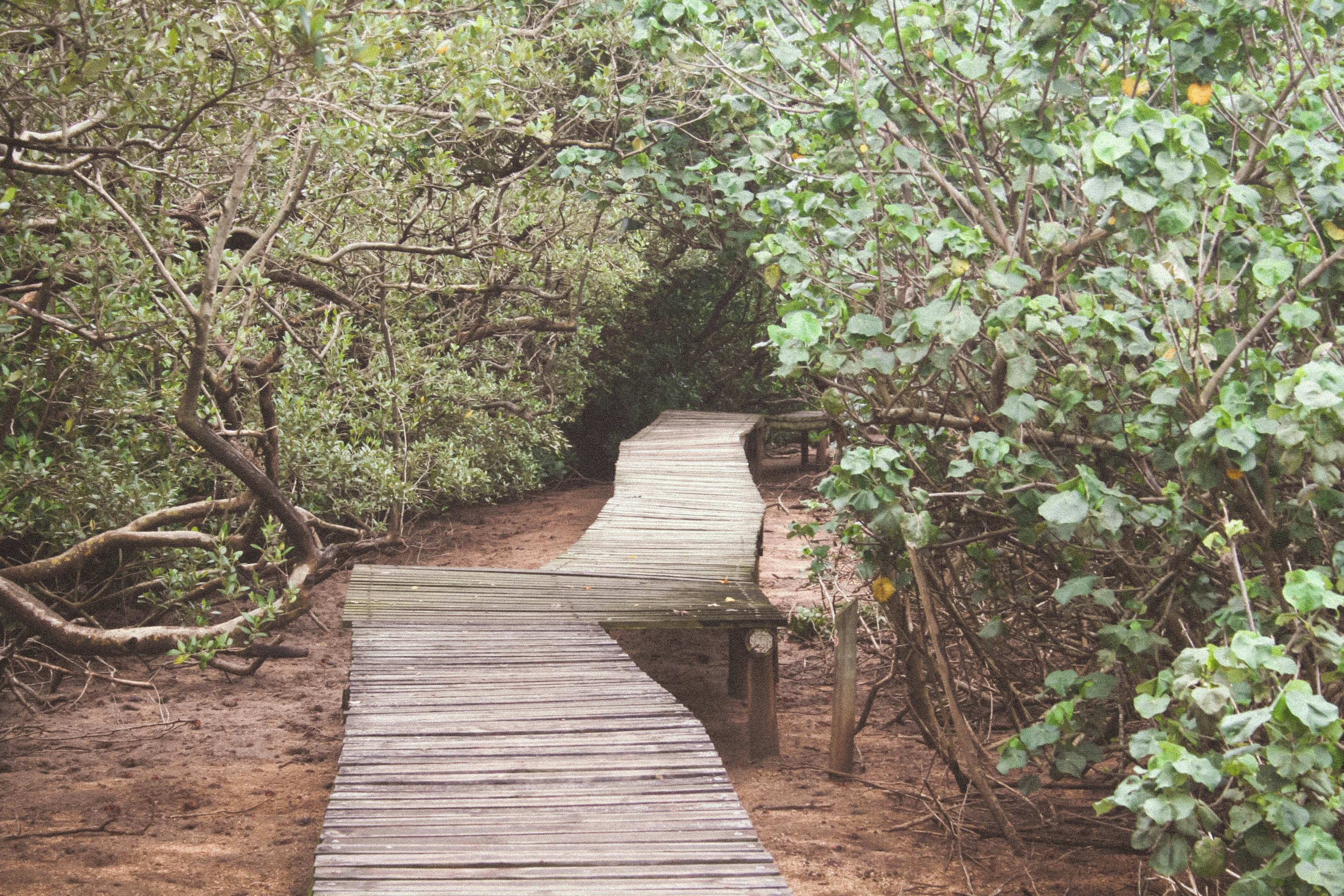 Free Unsplash photo from Jenna Deeley-Smith