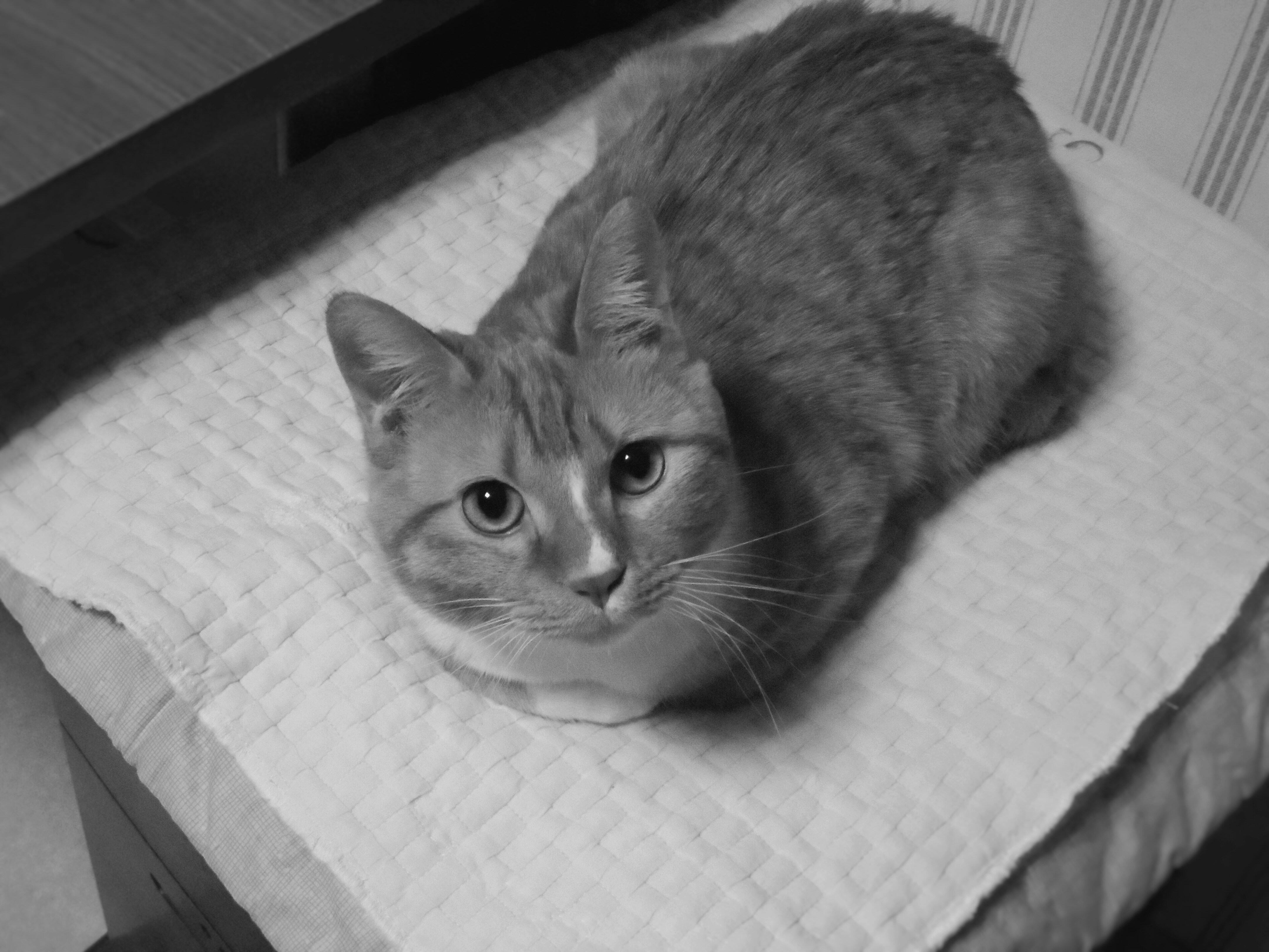 Free Unsplash photo from Jinho Lee