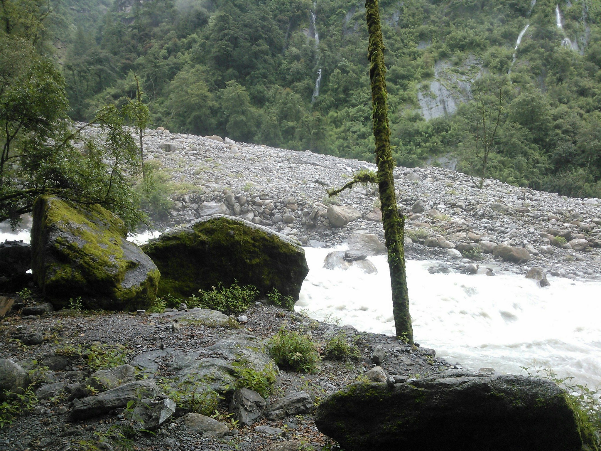 Free Unsplash photo from Bharath Raja