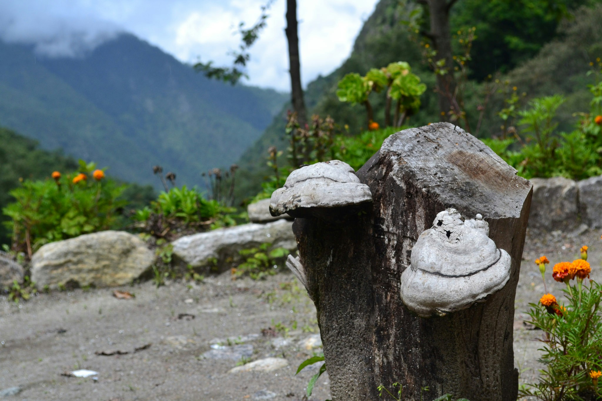 Free Unsplash photo from Bharath Raja