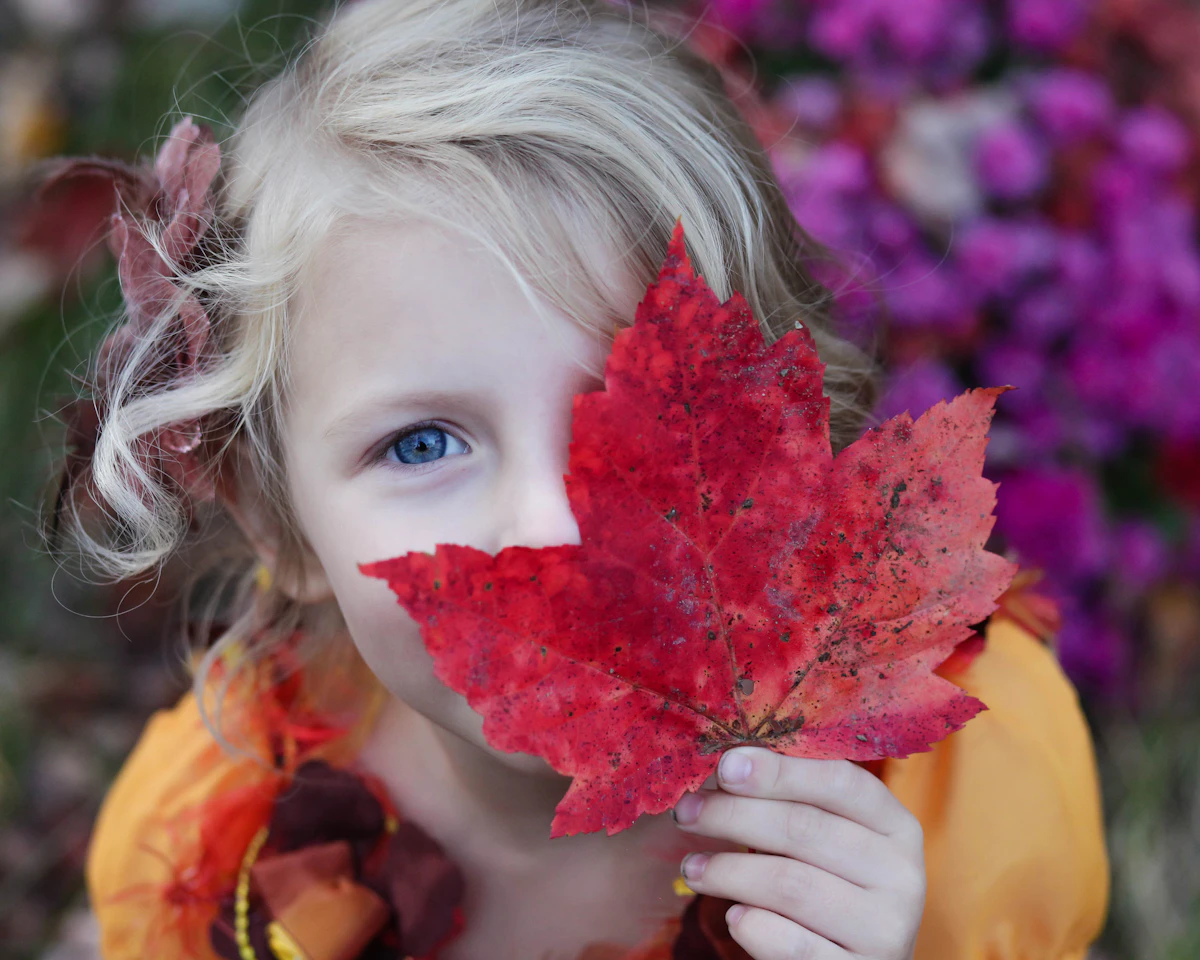 A child holding up a red maple leaf