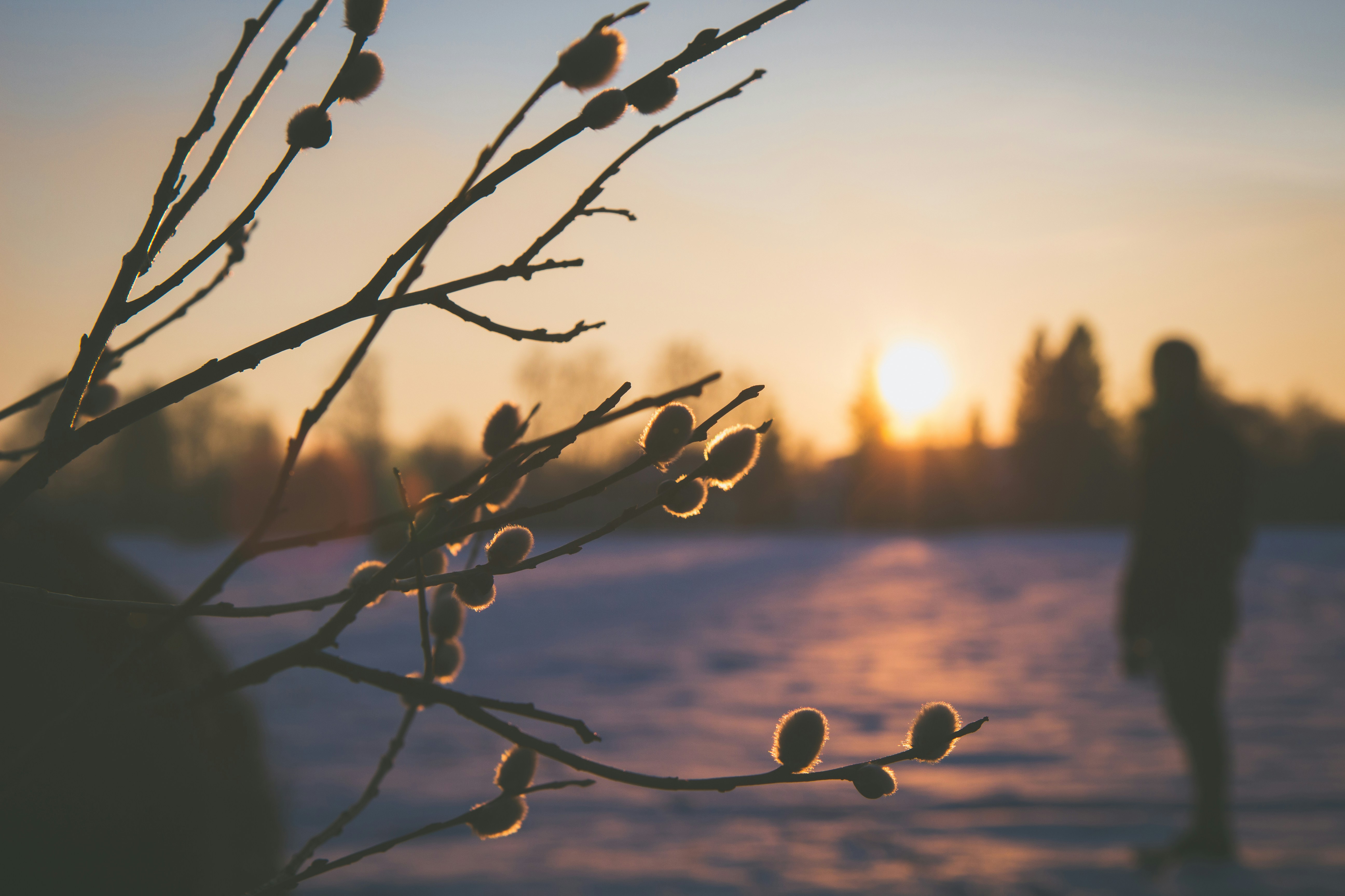 Free Unsplash photo from Aliis Sinisalu