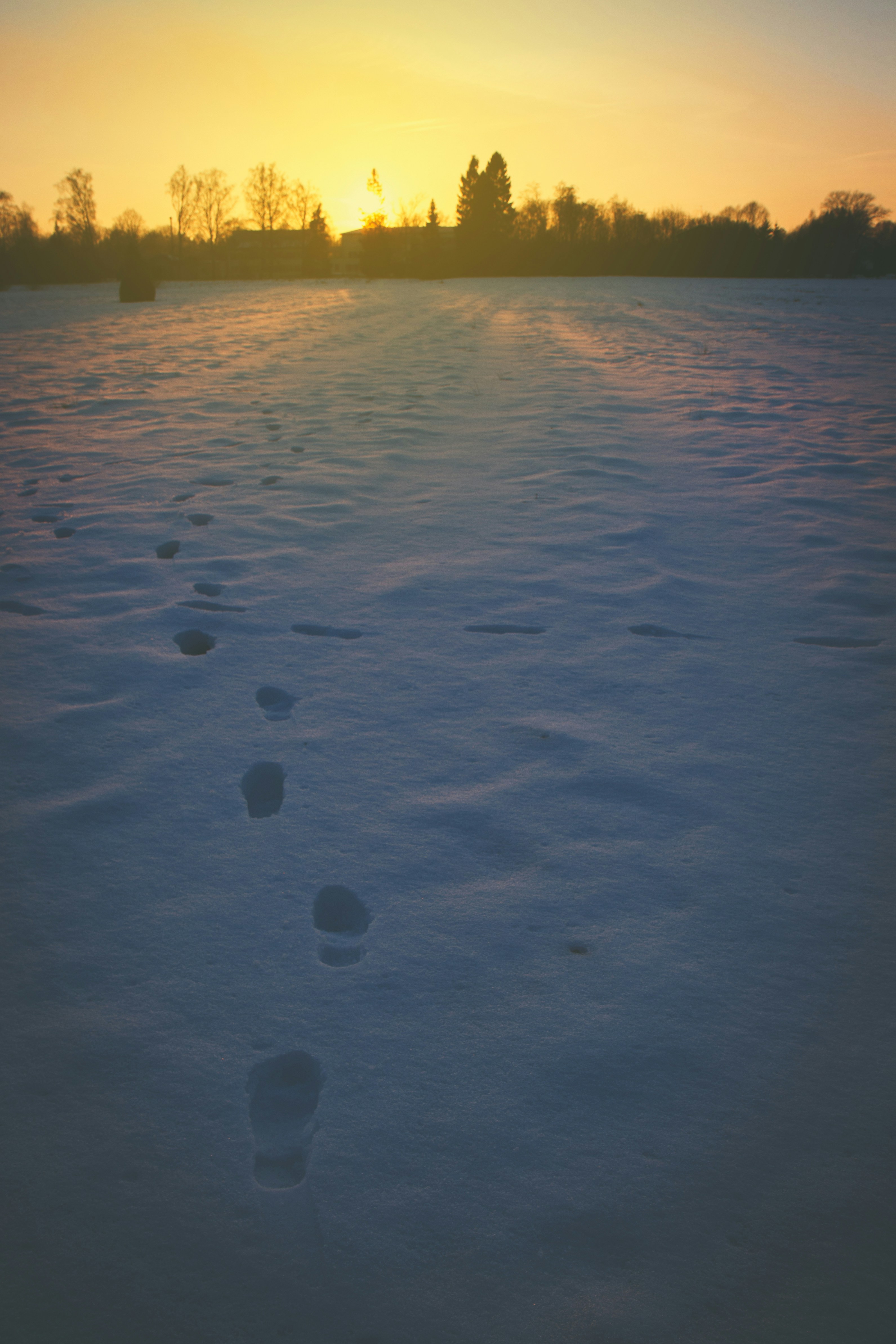 Free Unsplash photo from Aliis Sinisalu