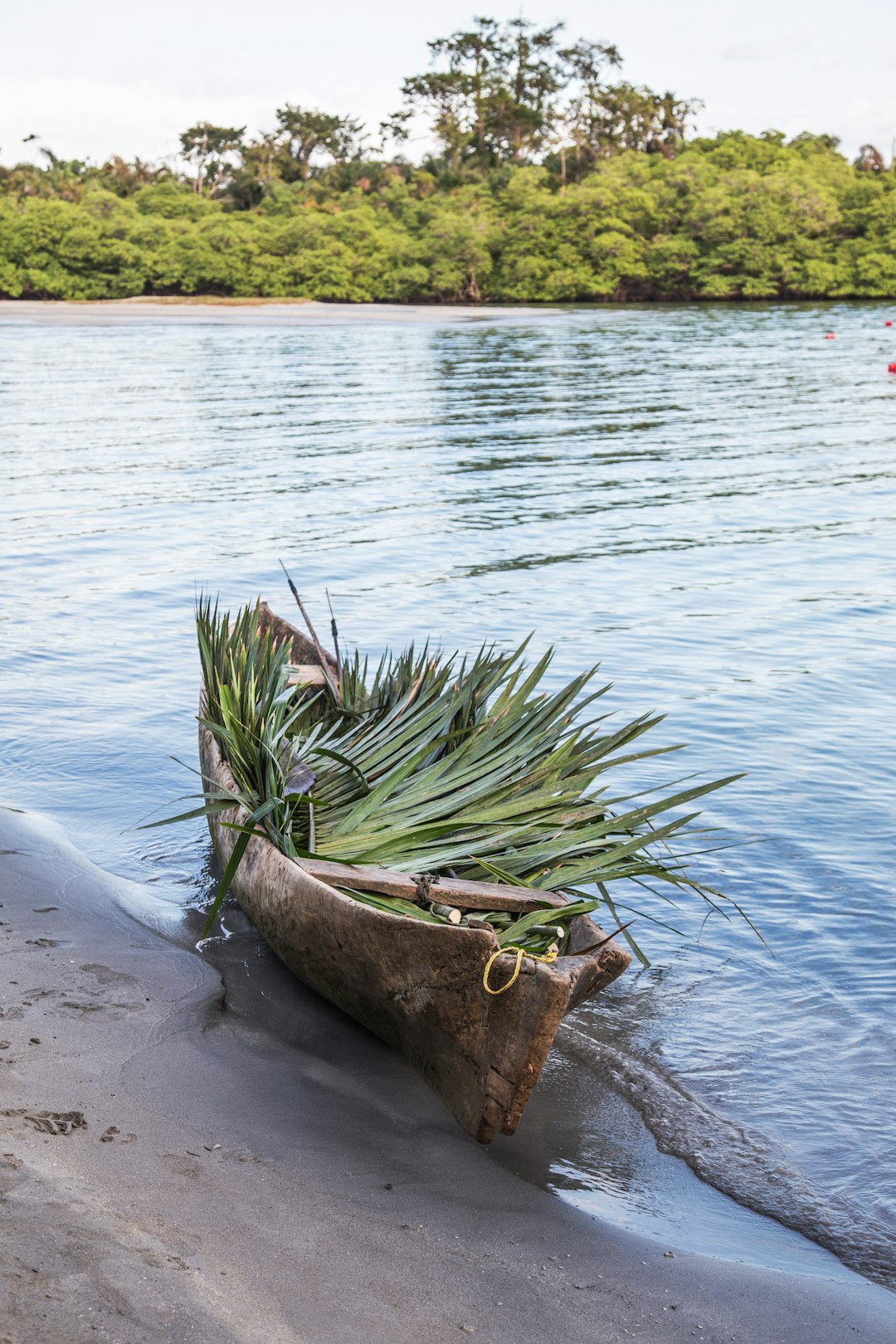 Shore photo spot Starfish Beach Zapatilla Island