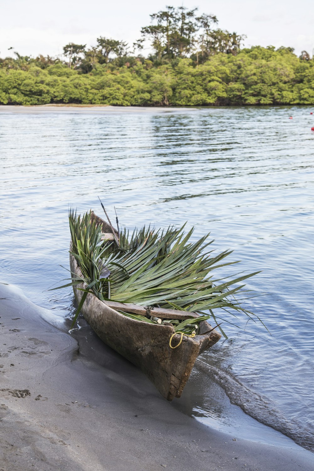 green and brown canoe on shore during daytime