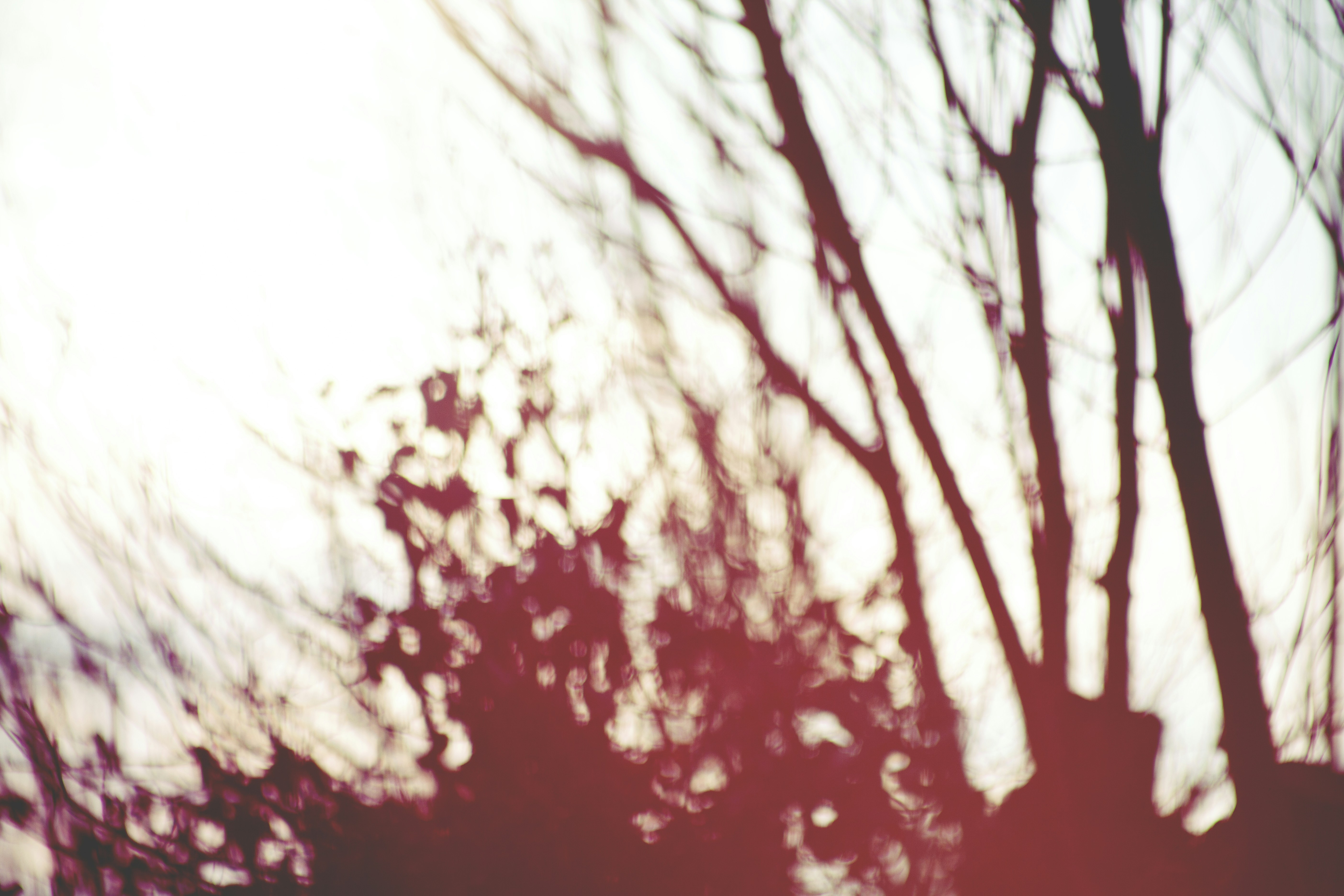 Photo By Rowan Heuvel