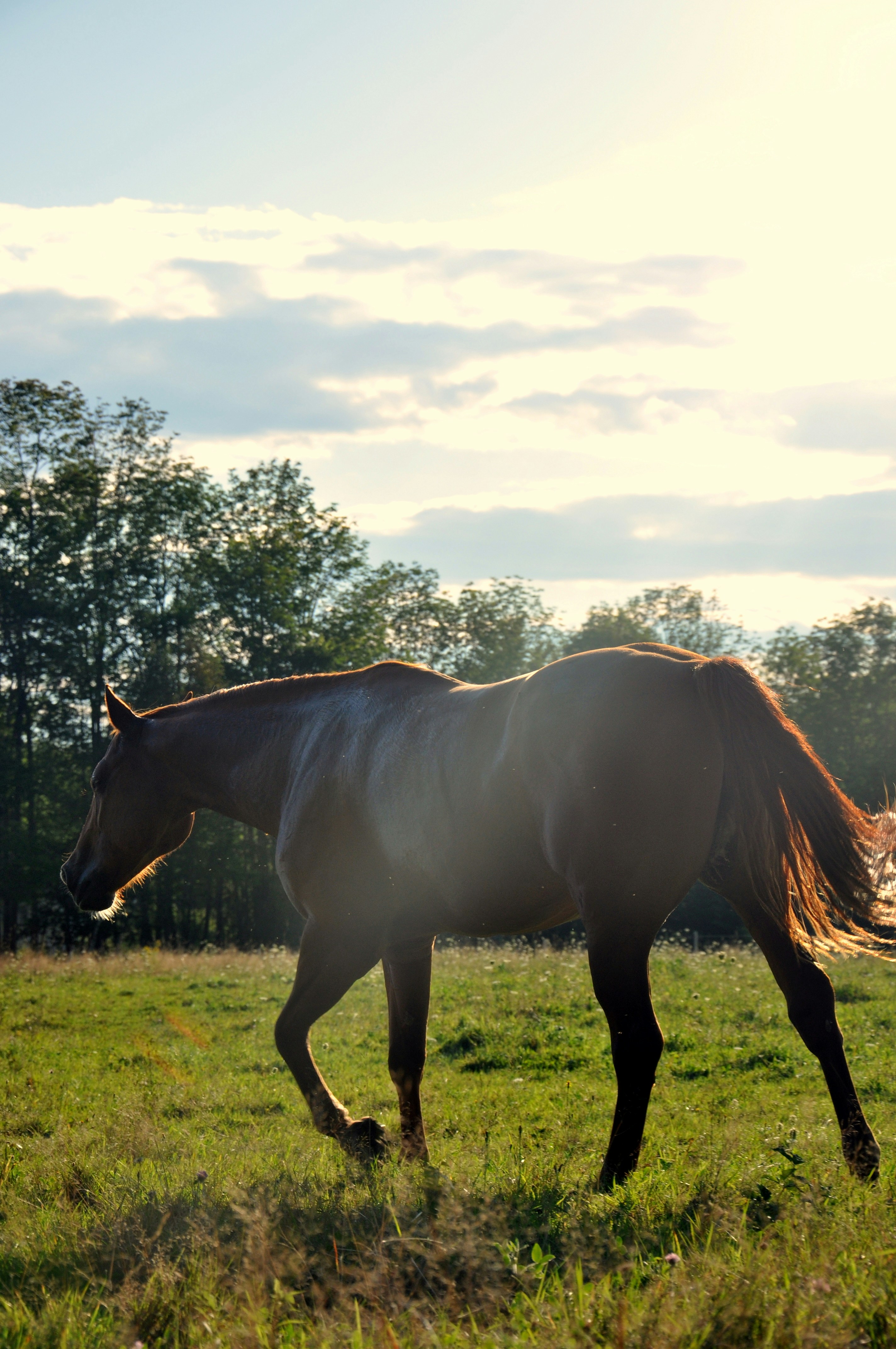 Free Unsplash photo from Becky White