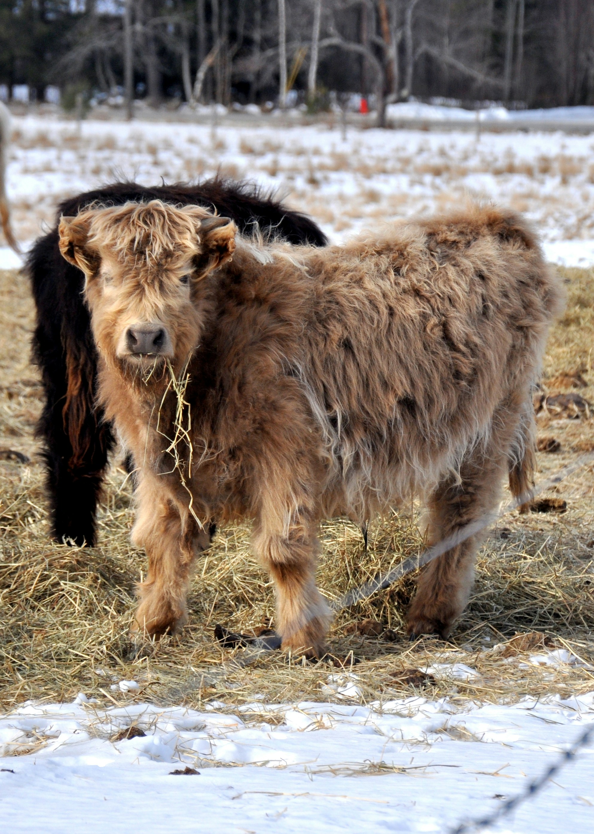 Free Unsplash photo from Becky White