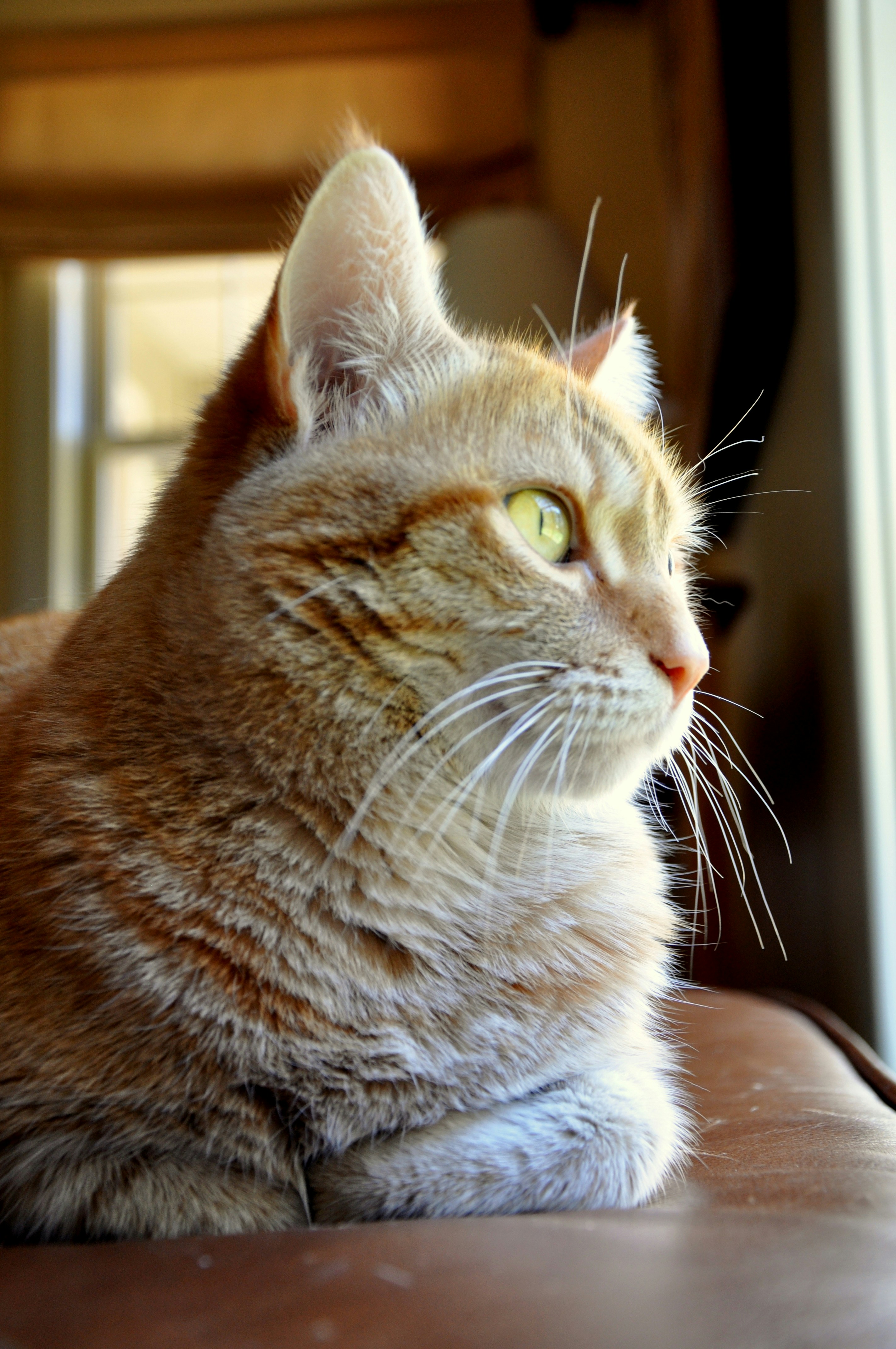 Free Unsplash photo from Becky White