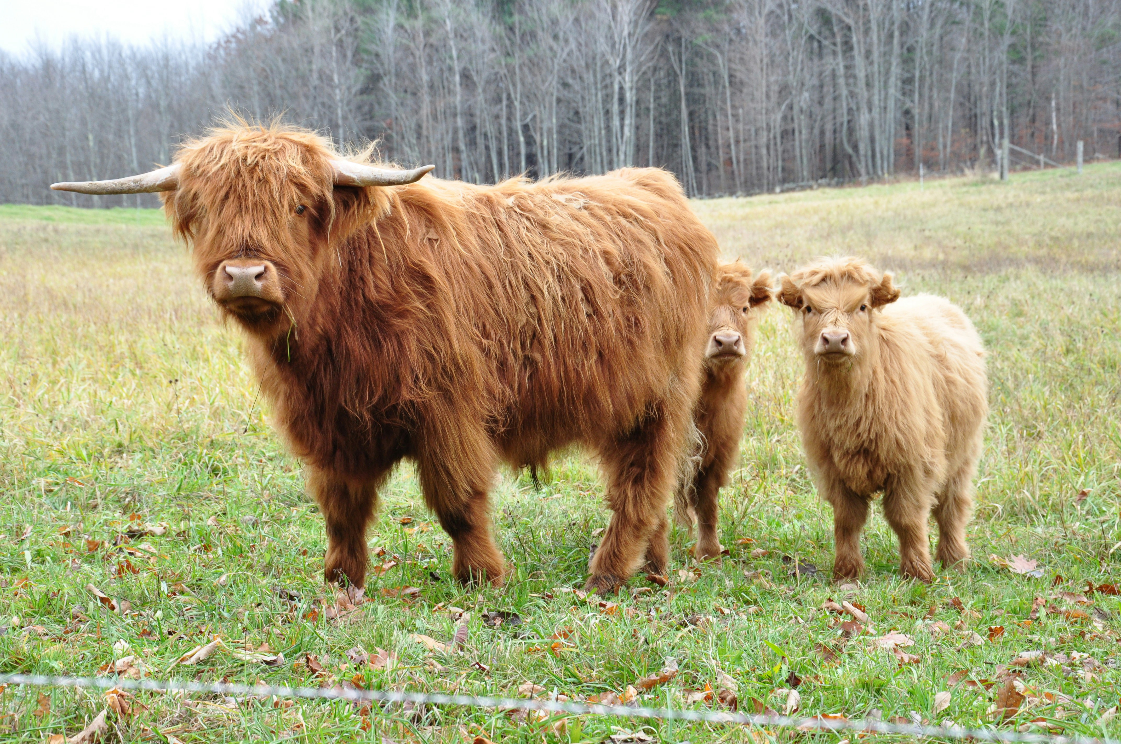 Free Unsplash photo from Becky White