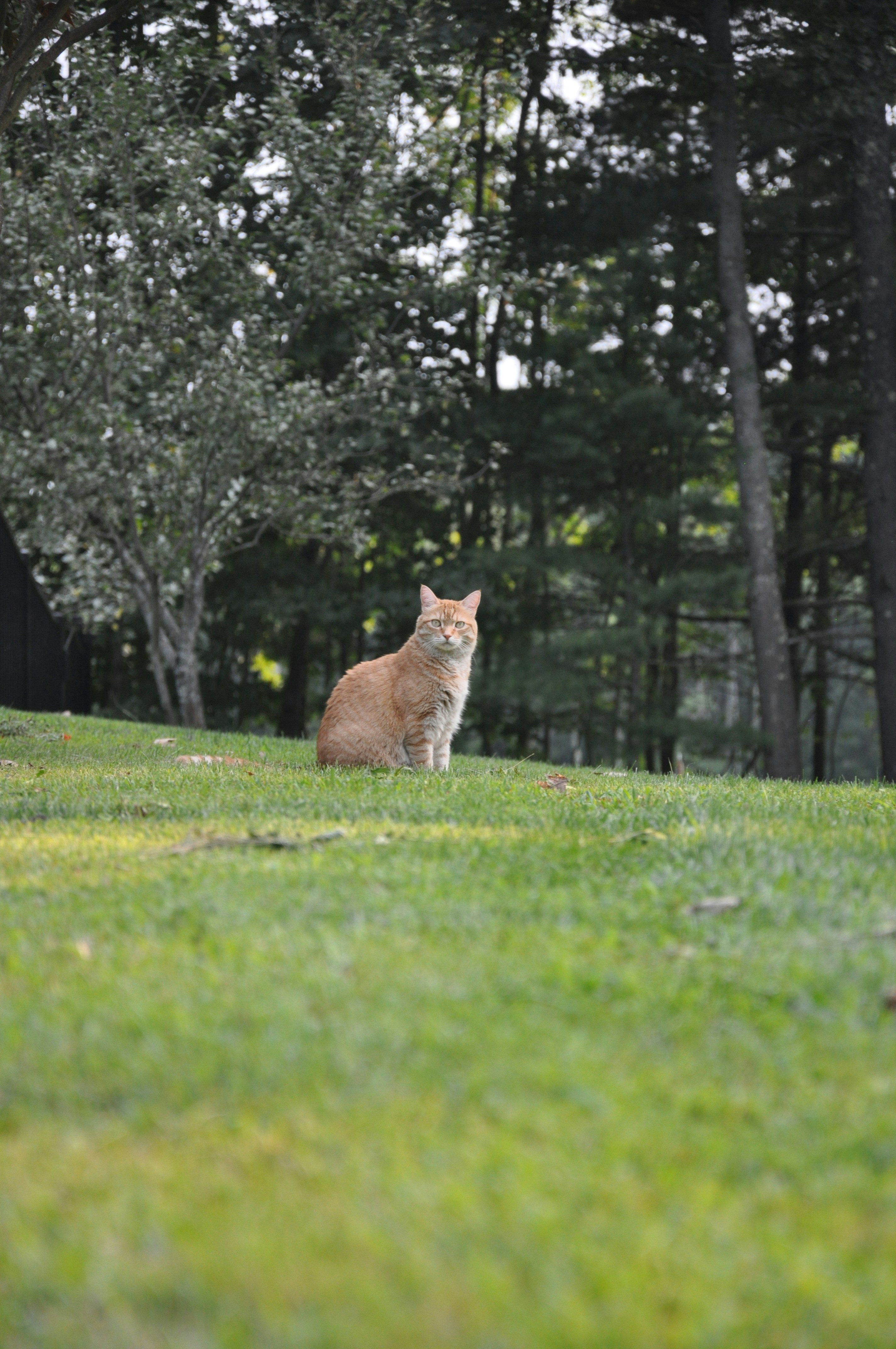 Free Unsplash photo from Becky White