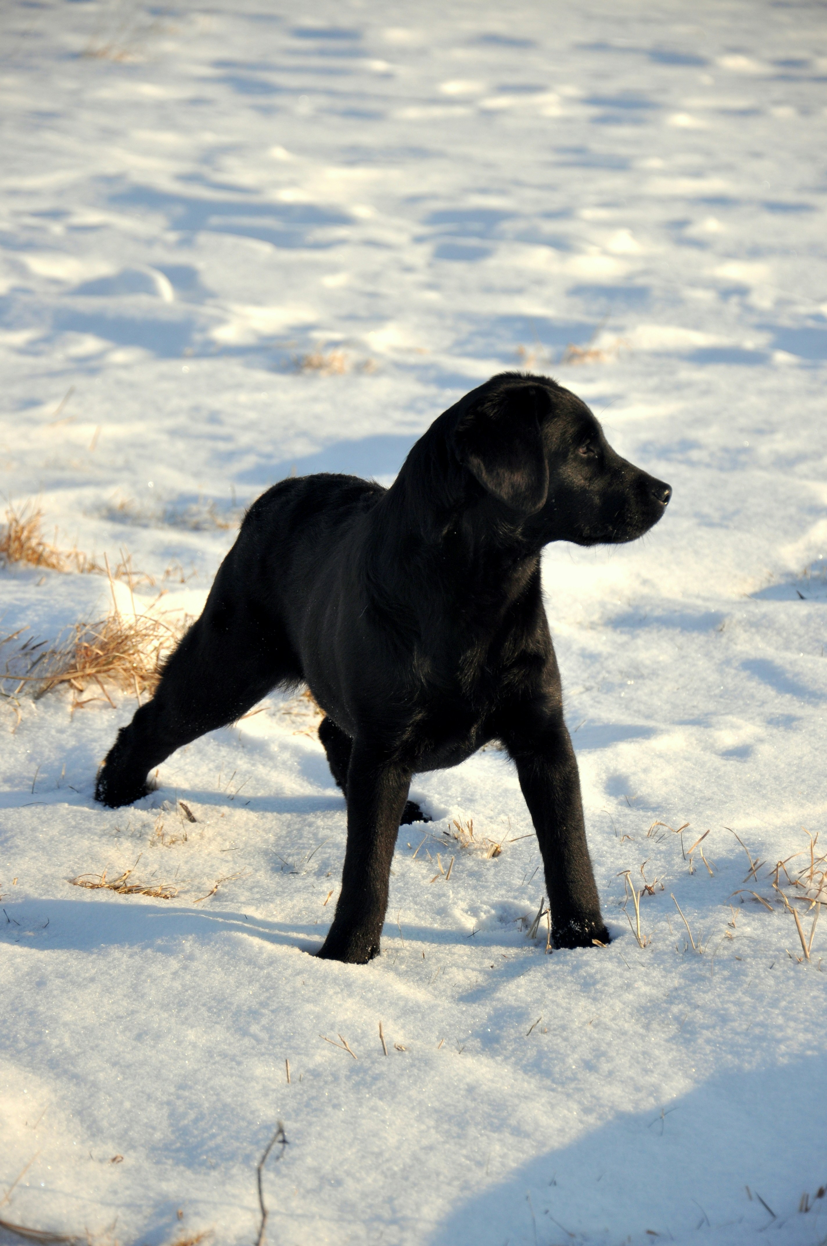 Free Unsplash photo from Becky White