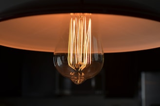 closeup photograph of light bulb