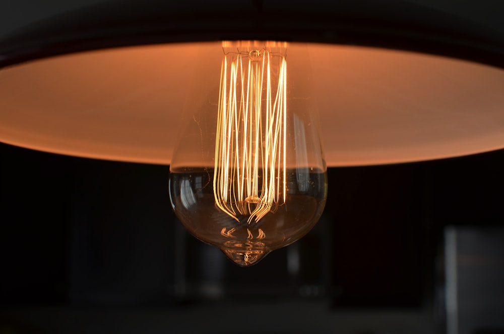 closeup photograph of light bulb