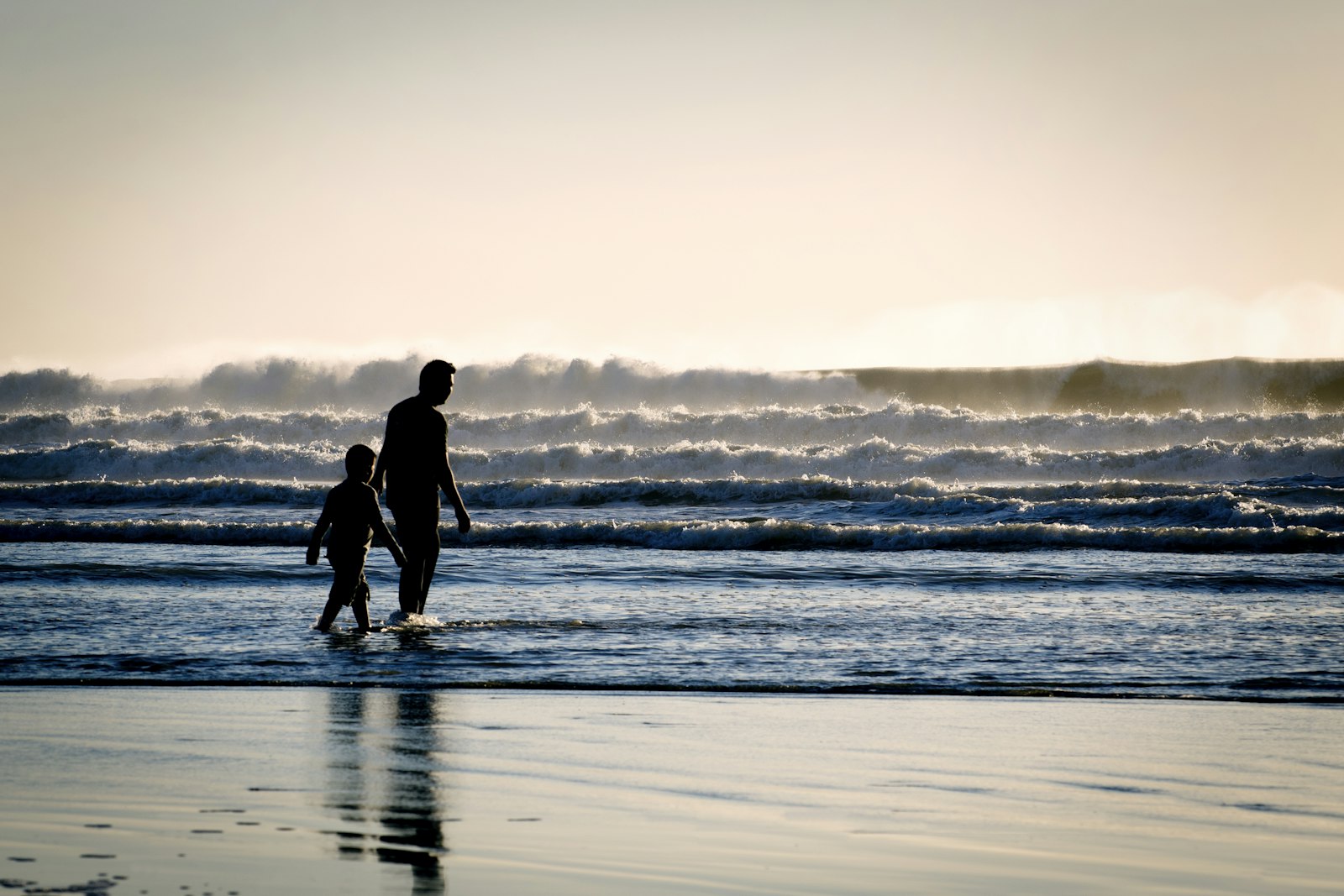 Nikon D600 + Nikon AF-S Nikkor 70-300mm F4.5-5.6G VR sample photo. Silhouette of a man photography