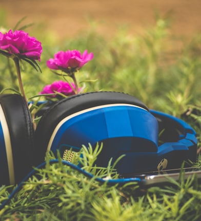 focus photography of blue headphones on grass
